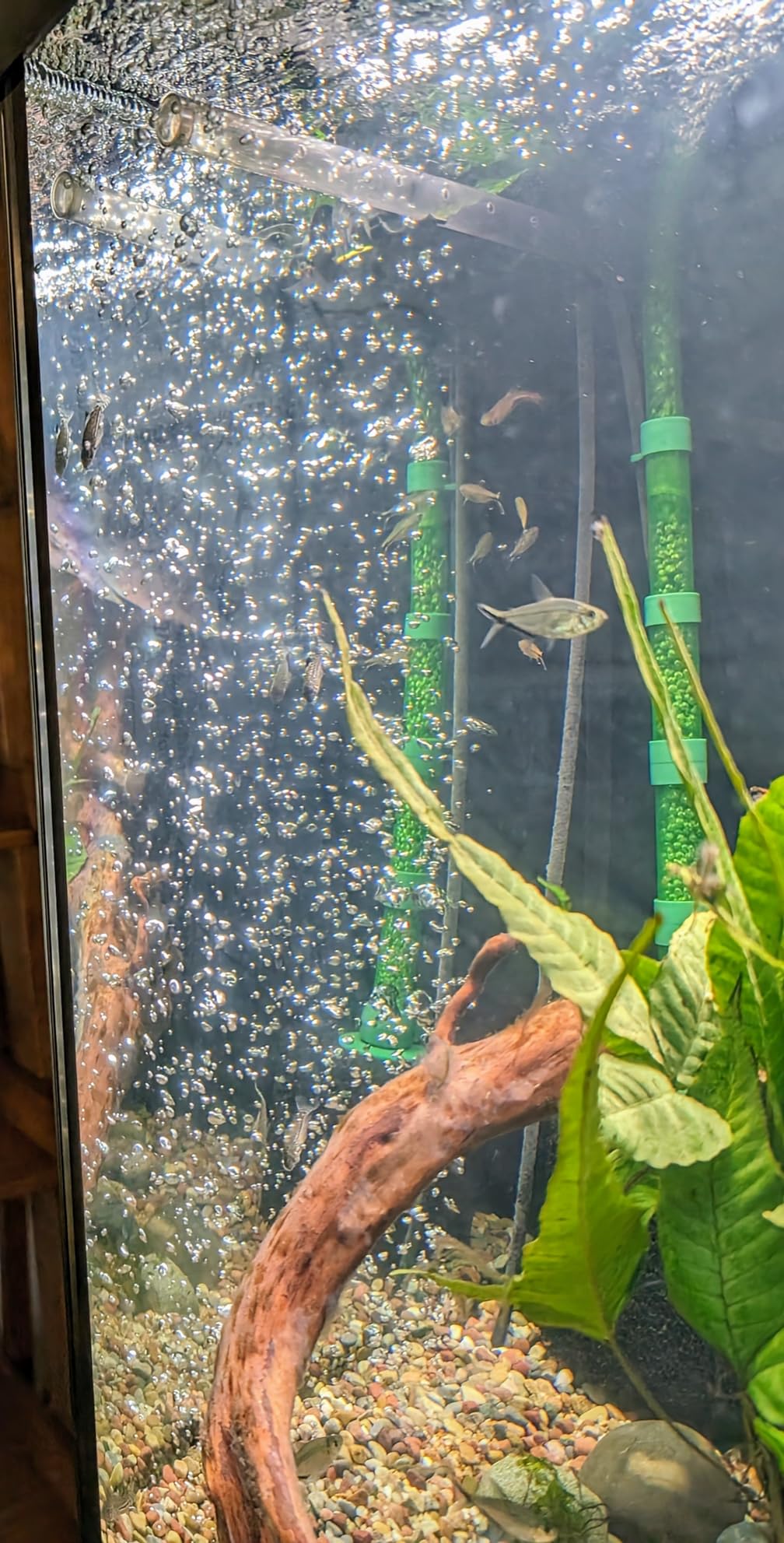 Tetra Whisper Air Pump for Deep Water Applications customer photo 1