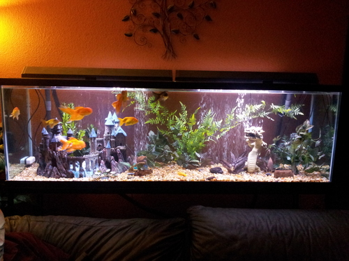 Tetra Whisper Air Pump for Deep Water Applications customer photo 2