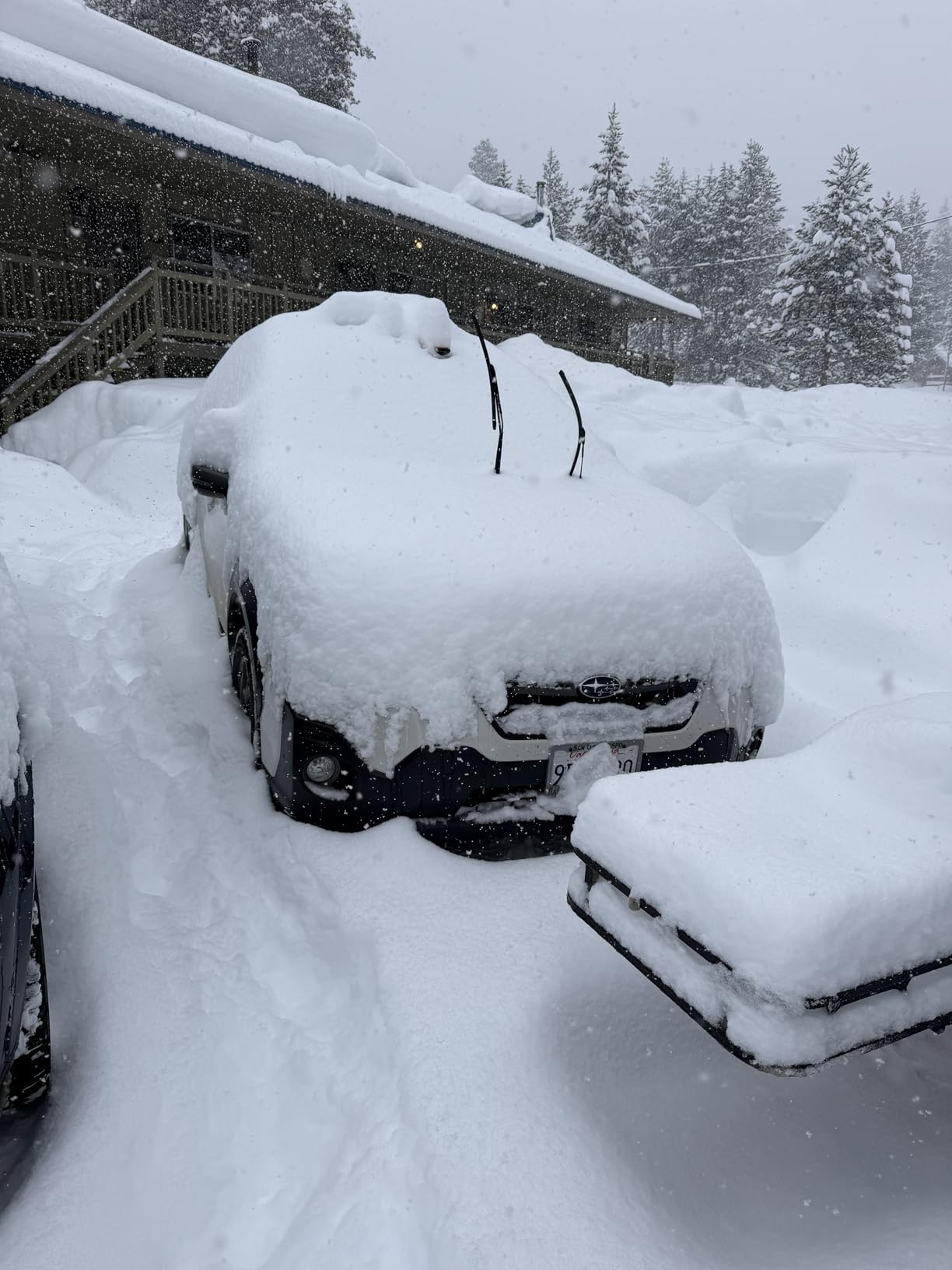 SCC SC1040 Radial Chain Cable Traction Tire Chain - Set of 2 customer photo 1