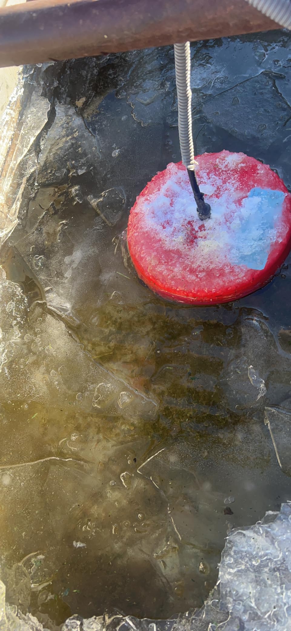 Allied Precision 7621 1000-Watt Floating De-Icer customer photo 2