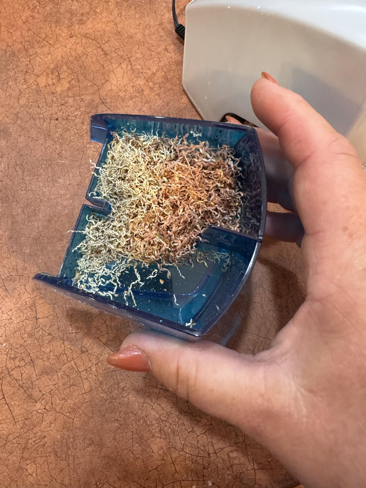 Bostitch Office Electric Pencil Sharpener, Heavy Duty Powerful Stall-Free Motor, High Capacity Shavings Tray, for Office or Classroom, Blue customer photo 2