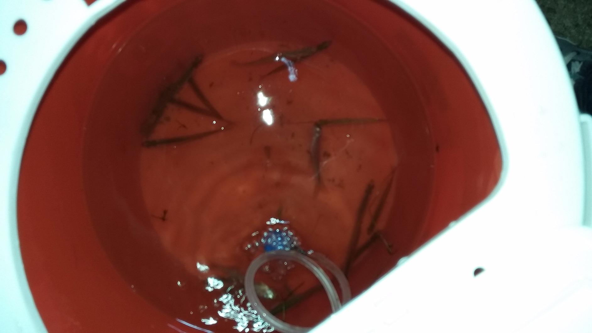 Marine Metal LB-11 Bubbles Top Combo Bait Storage customer photo 2