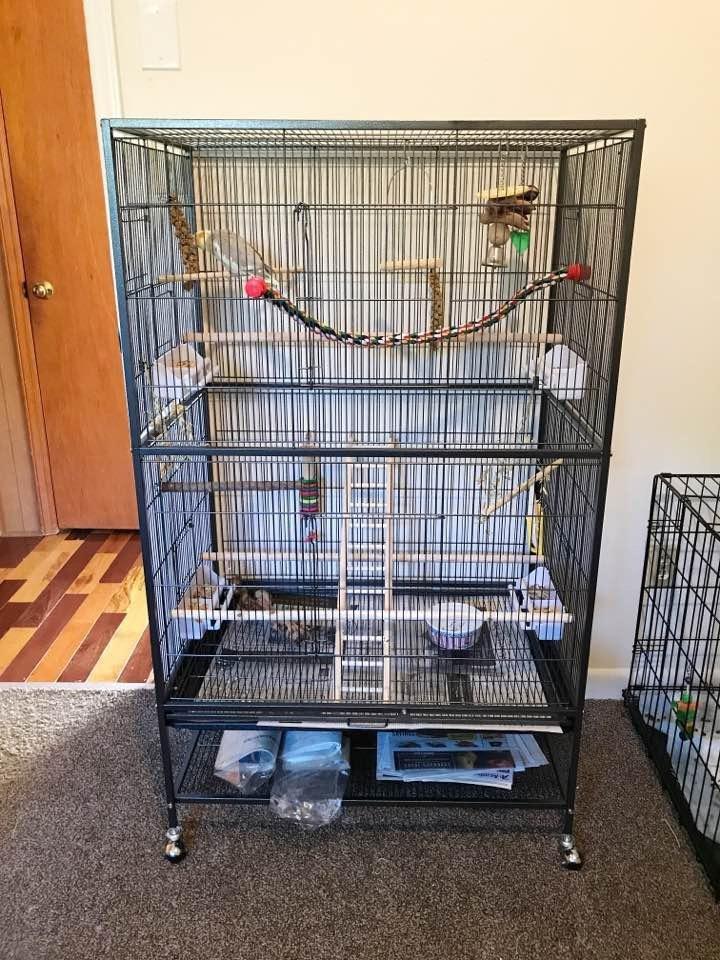 Prevue Pet Products Steel Bird Flight Cage with Wheels - Large Birdcage for Parakeets, Canaries, Finches, Cockatiels, Lovebirds, & Green Cheek, Metal Standing Birdcage - Black, Large customer photo 2