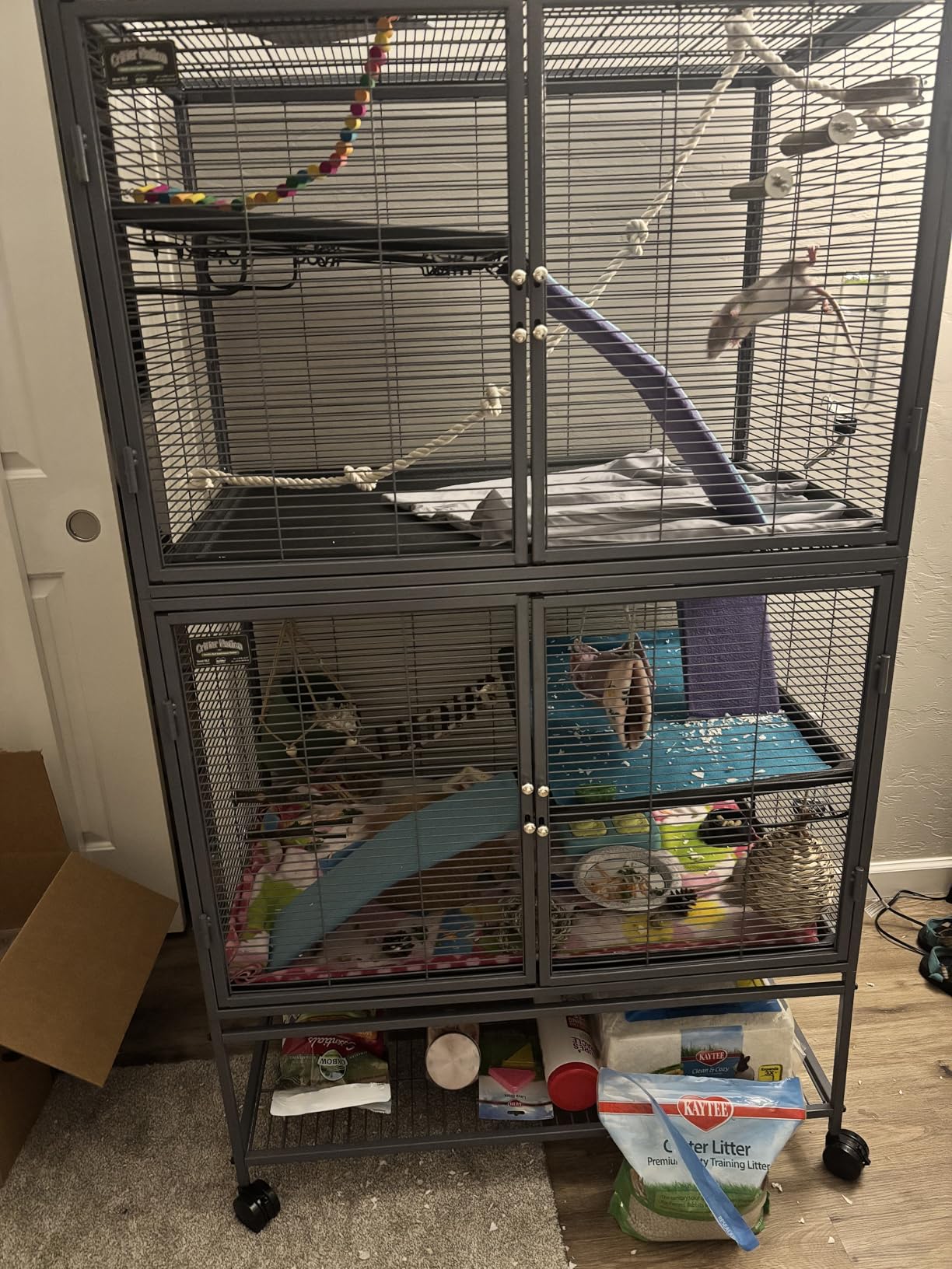 MidWest Homes for Pets Critter Nation Double Unit Small Animal Cage, 4 Tiers, Includes Pan, Shelf, Ramp & Cover, for Rats, Ferrets, Chinchillas, Sugar Gliders customer photo 2