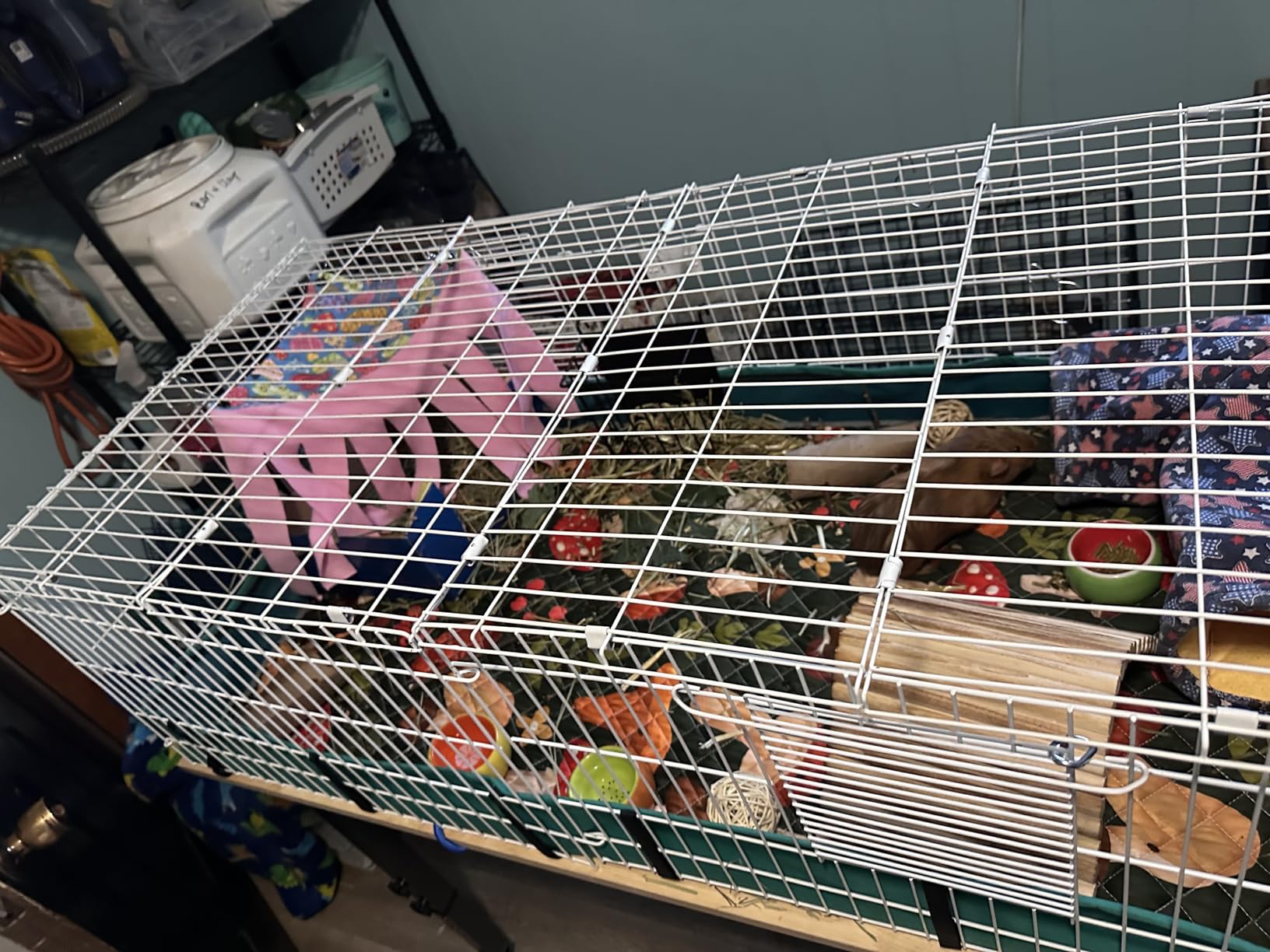 MidWest Homes for Pets Guinea Habitat Plus Cage, Includes Divider Panel and Hinged Top, Washable PVC Canvas Bottom, Expandable Small Animal Cage for Guinea Pigs, 171GHP customer photo 2