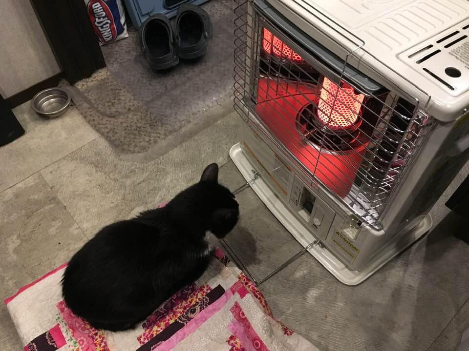 Sengoku Indoor & Outdoor Kerosene Heater, 10,000 BTU, Portable Use, HeatMate, White - Cordless Space Heating Machine for Home, Garage, Basement, and Camping customer photo 1