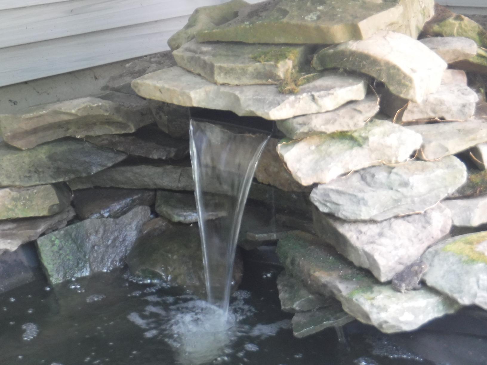 TetraPond Water Garden Pump, Powers Waterfalls/Filters/Fountain Heads - Available in Multiple Sizes (50-250 Gallons, 500-1000 Gallons, 1000-1500 Gallons) customer photo 1