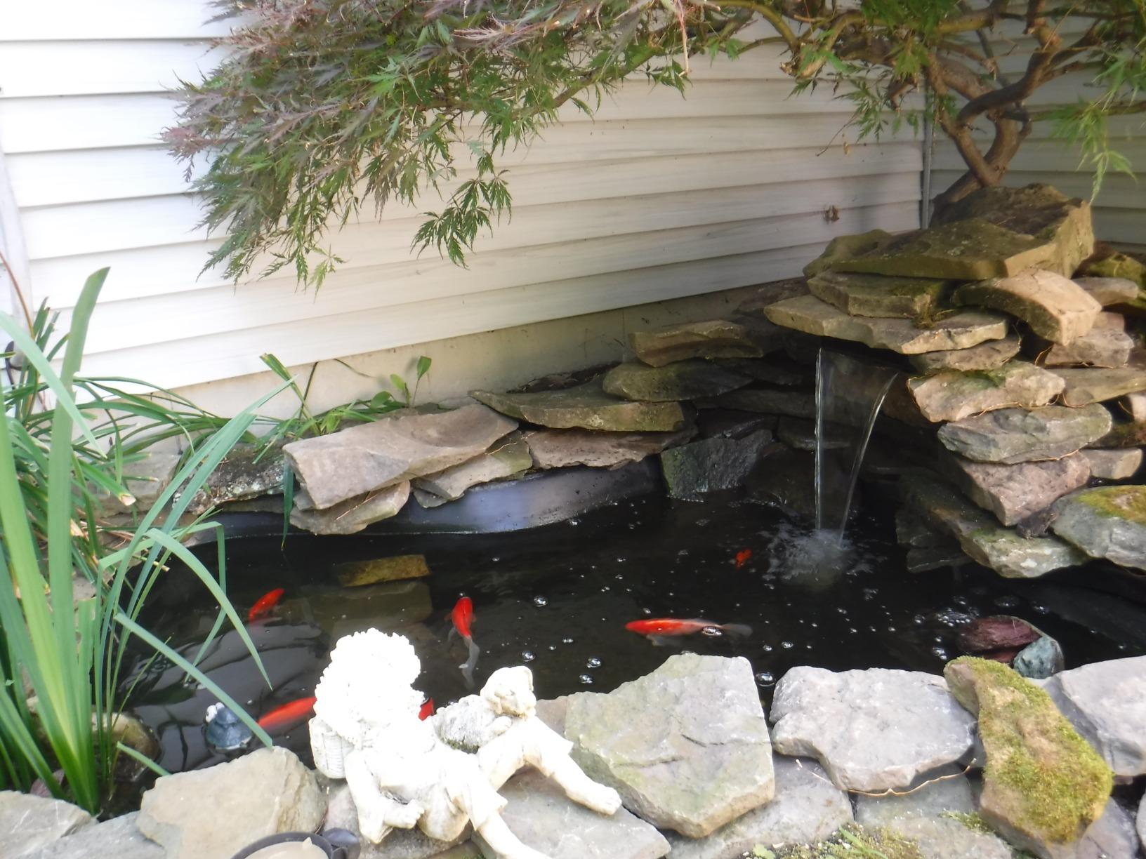 TetraPond Water Garden Pump, Powers Waterfalls/Filters/Fountain Heads - Available in Multiple Sizes (50-250 Gallons, 500-1000 Gallons, 1000-1500 Gallons) customer photo 2