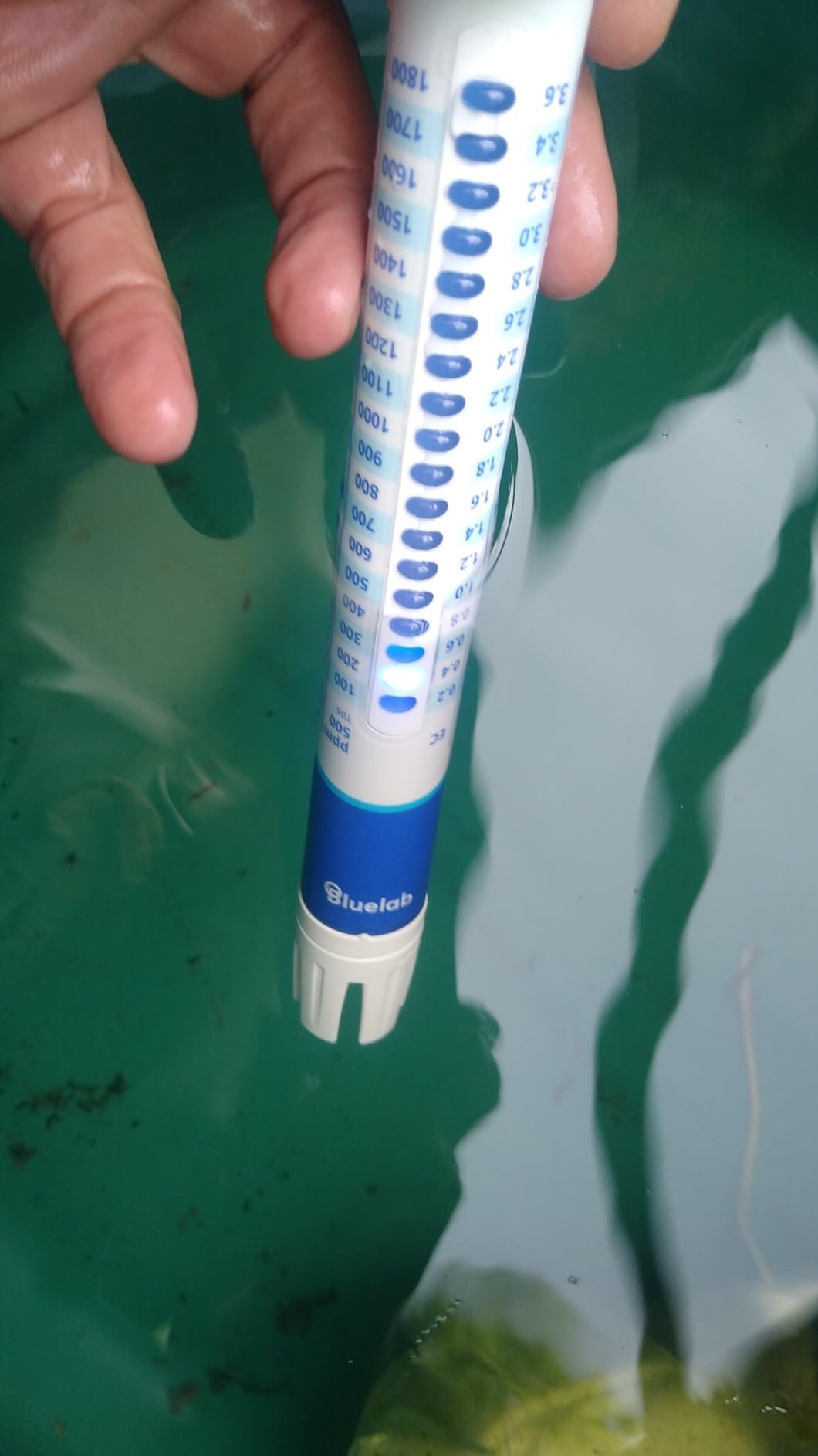 Bluelab TRUNV2 Truncheon Nutrient Meter, Digital Conductivity Tester in Water (Scales Include: EC, 500, ppm 700, CF, TDS) Tool for Hydroponic System and Indoor Plant Grow, White customer photo 2