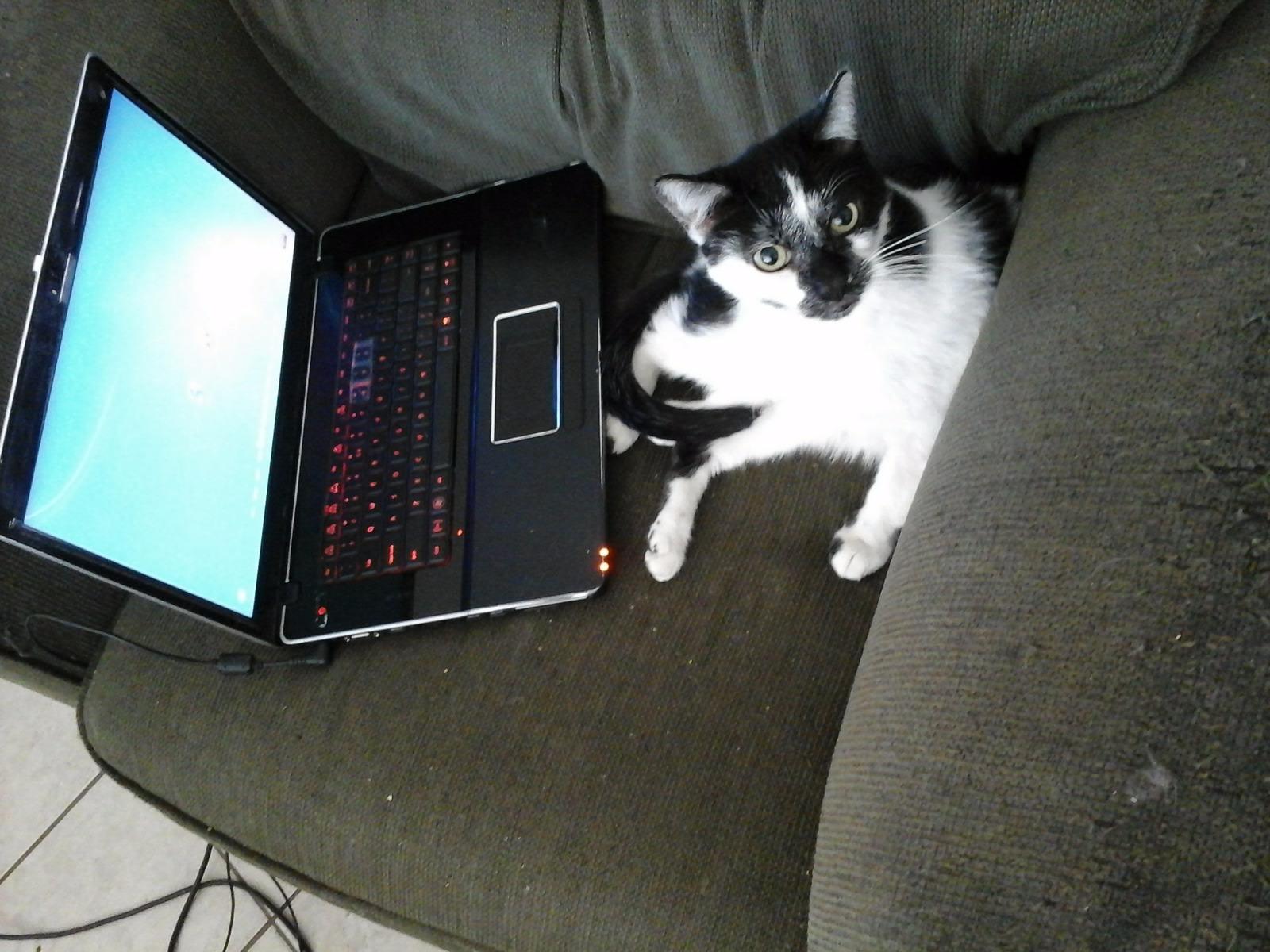 Logitech K120 Wired Keyboard for Windows, USB Plug-and-Play, Full-Size, Spill-Resistant, Curved Space Bar, Compatible with PC, Laptop - Black customer photo 2