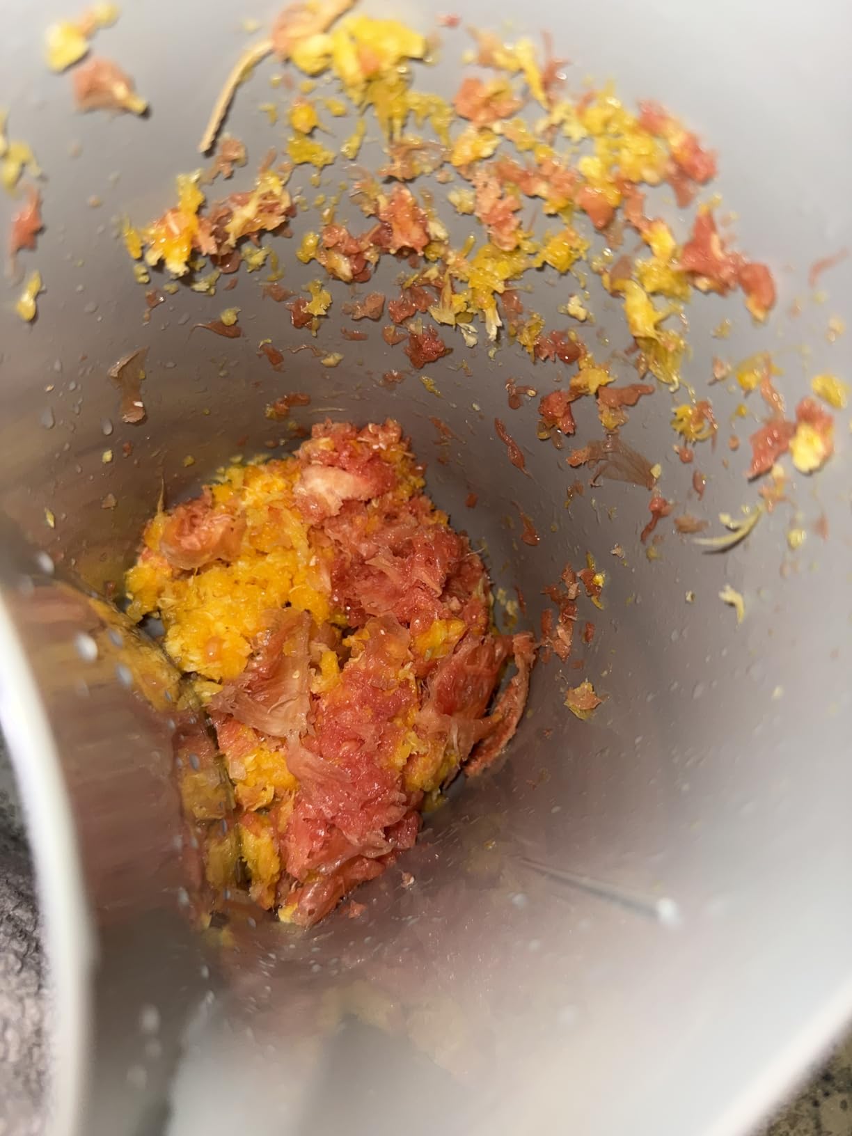 Breville Juice Fountain Plus JE98XL, Silver customer photo 2