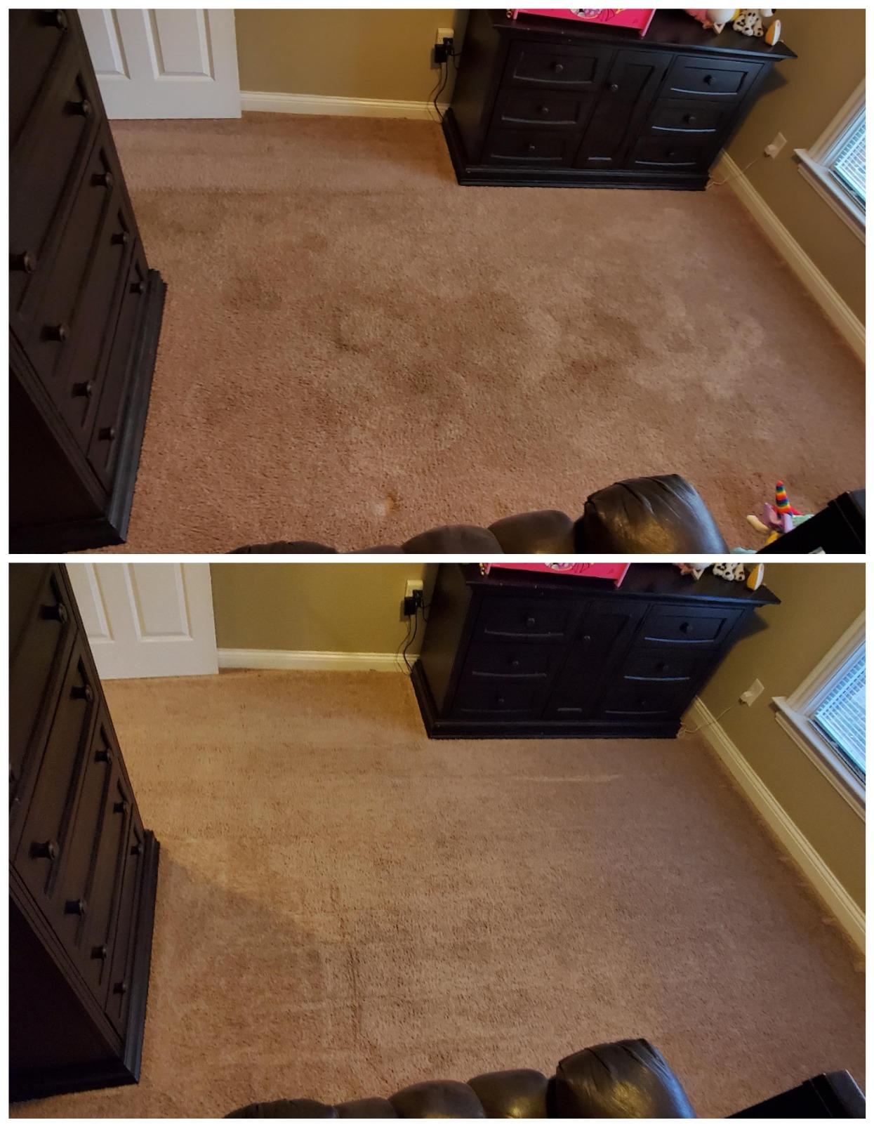 BISSELL Big Green Professional Carpet Cleaner with XL DirtLifter PowerBrush, 9-inch Long Reach Hose, 6-inch Tough Stain Tool, Includes BISSELL PRO MAX Formula with Stain Protect Technology customer photo 2