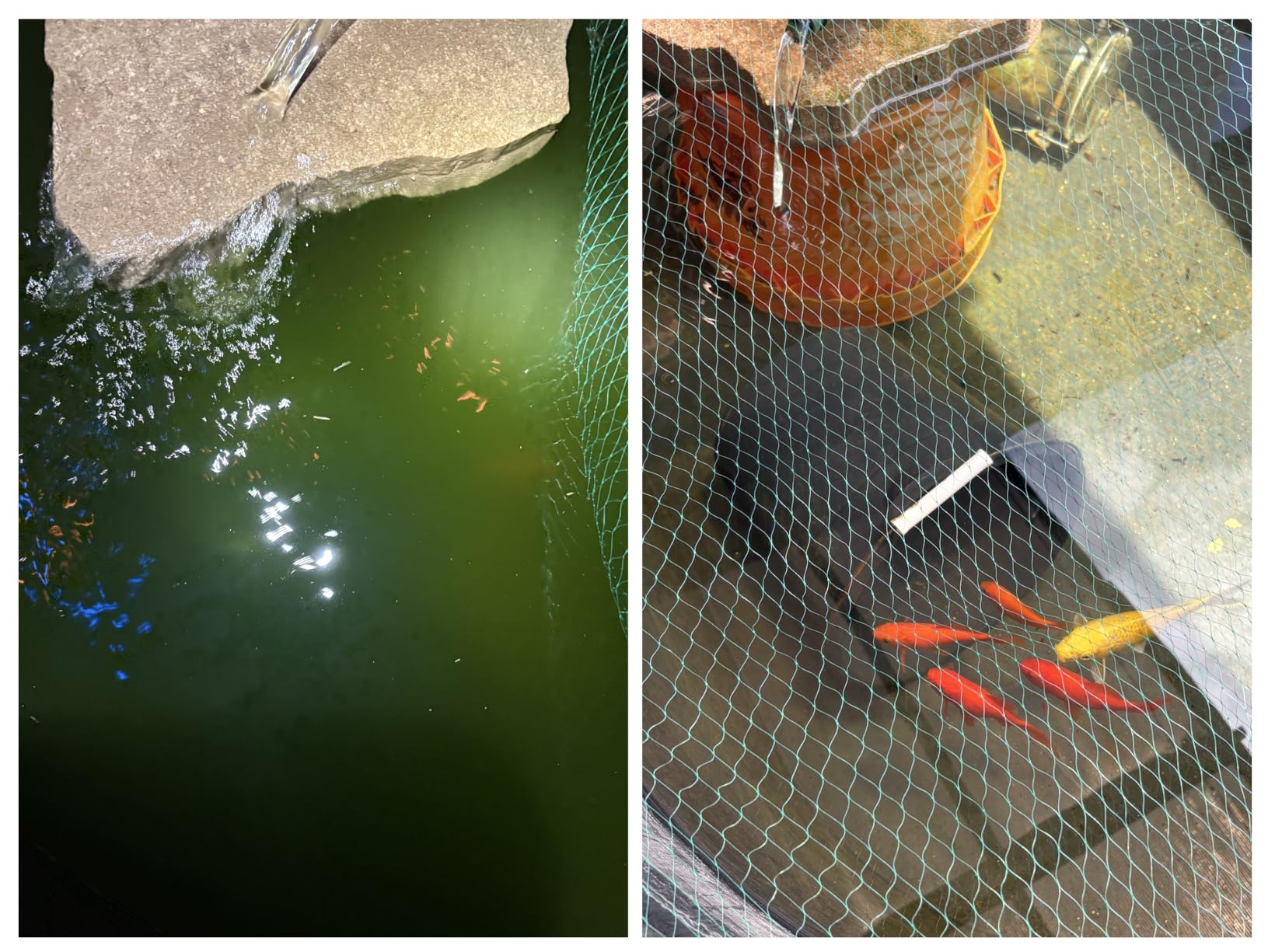 TetraPond UVC-5 GreenFree UV Clarifiers For Up To 660 Gallons, 5-Watt customer photo 1