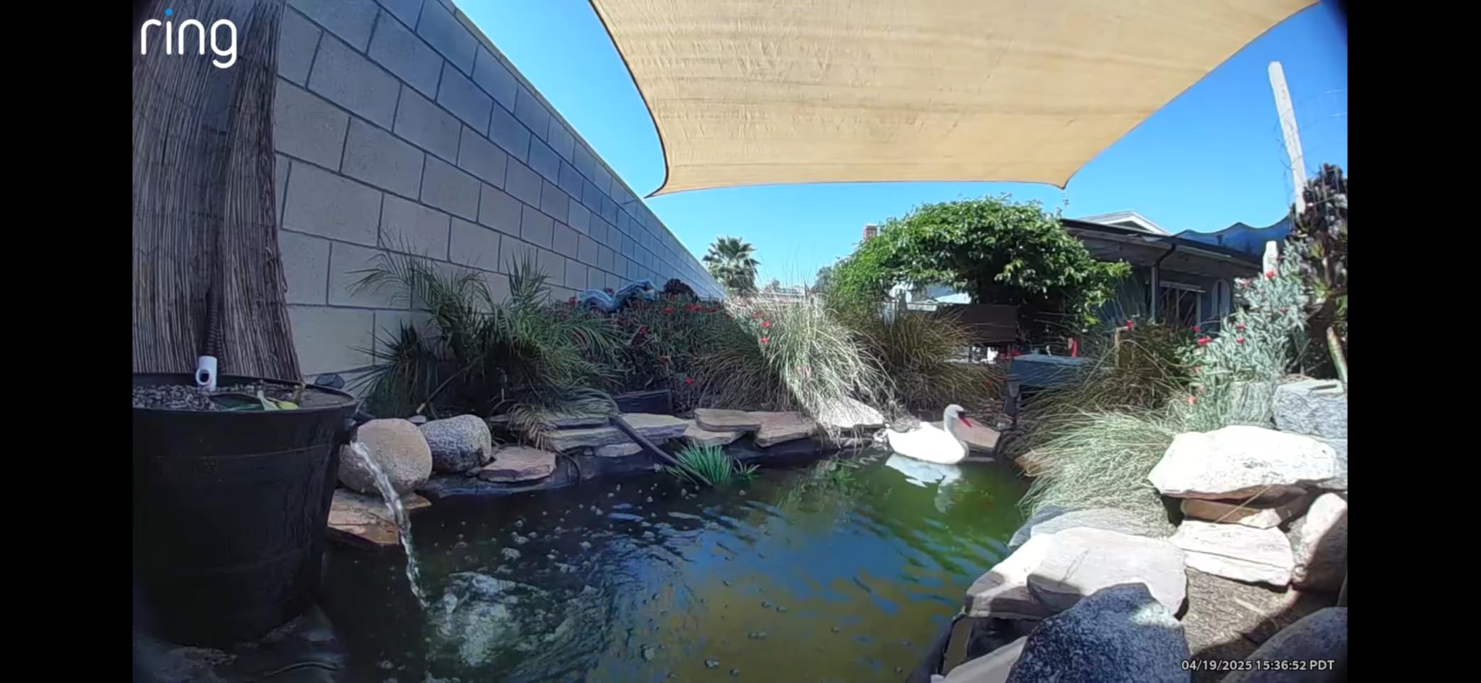 TetraPond UVC-5 GreenFree UV Clarifiers For Up To 660 Gallons, 5-Watt customer photo 2