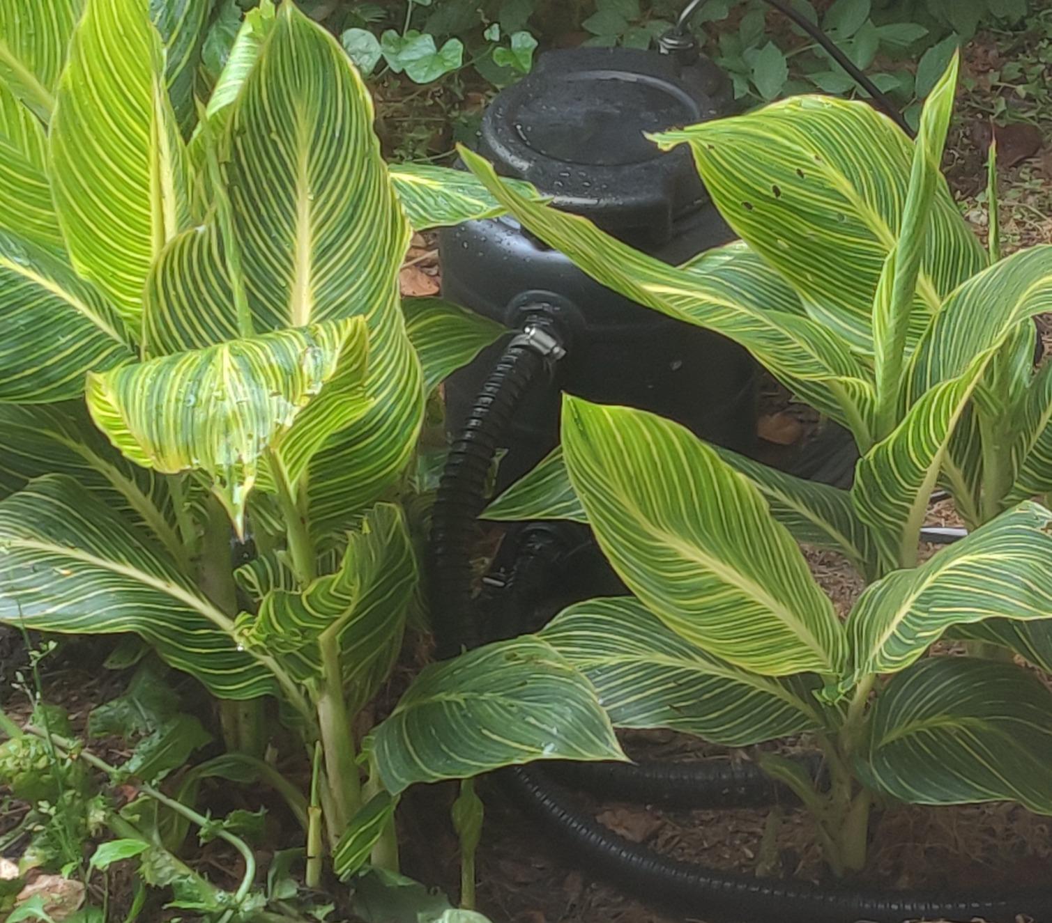 TotalPond Complete Pond Filter with UV Clarifier Black 15.16 x 9.06 x 13.11 in. customer photo 1