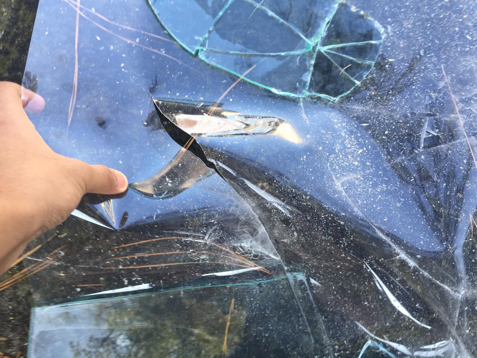 8 Mil Security Window Film 30