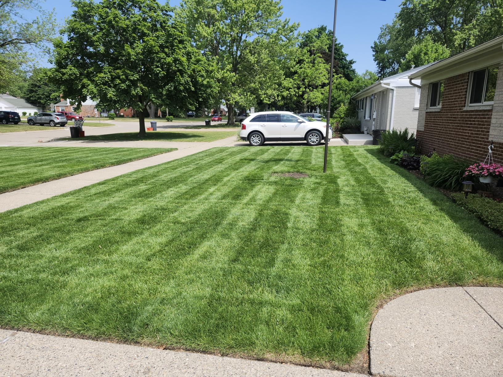 Toro Lawn Striping System customer photo 1