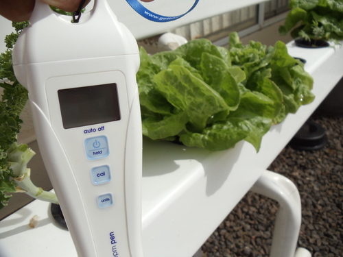 Bluelab PENCON Conductivity Pen and Digital TDS Meter, Water Tester for Temperature and Nutrient (CF, EC, PPM 500, PPM 700), TDS Testing Kit for Hydroponic System and Indoor Plant Grow customer photo 1