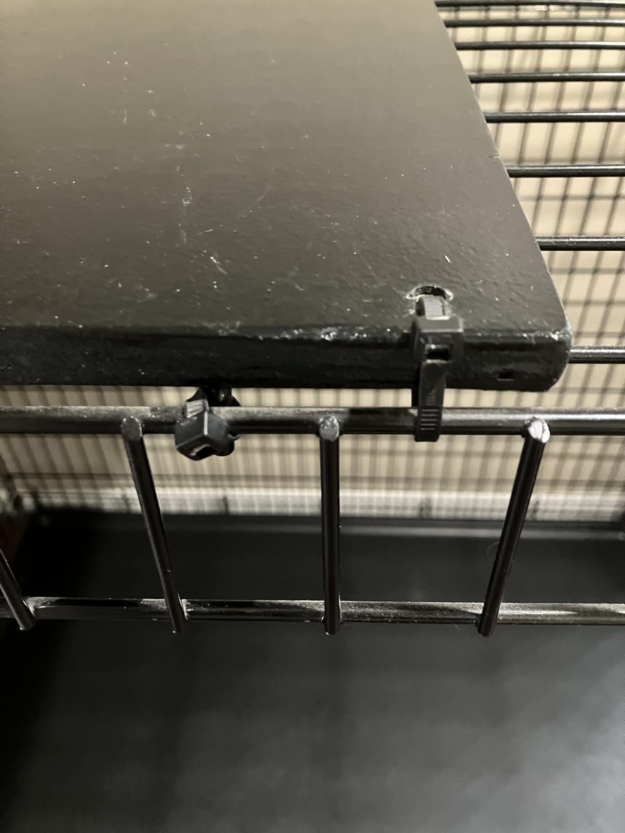 MidWest Homes for Pets Solutions Series XXL Double Door 54-Inch Dog Crate for the Largest Breeds, Sturdy Drop Pin Assembly, Black E-Coated, SL54DD customer photo 2