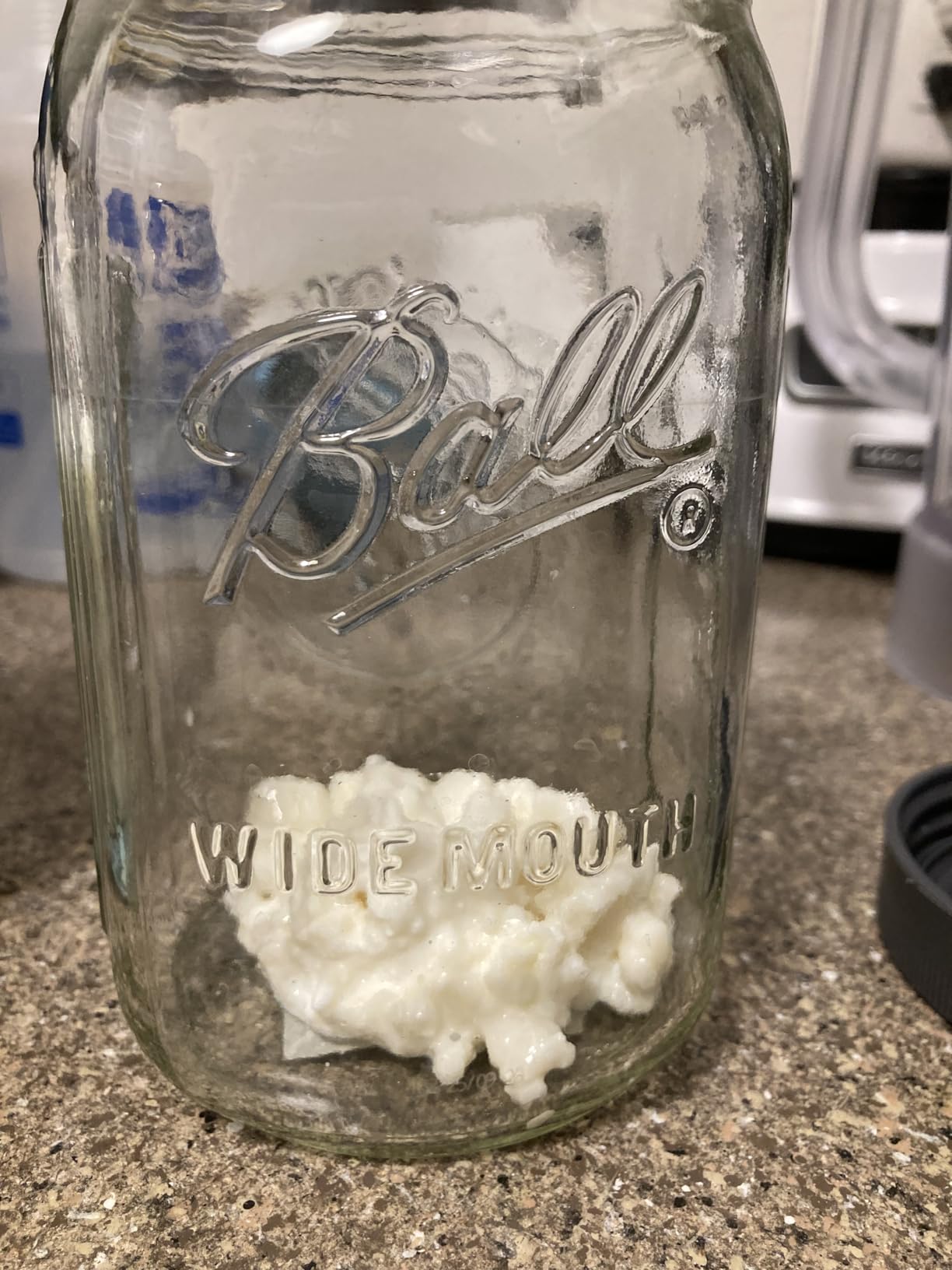 1 TBSP Milk Kefir Grains and eBook