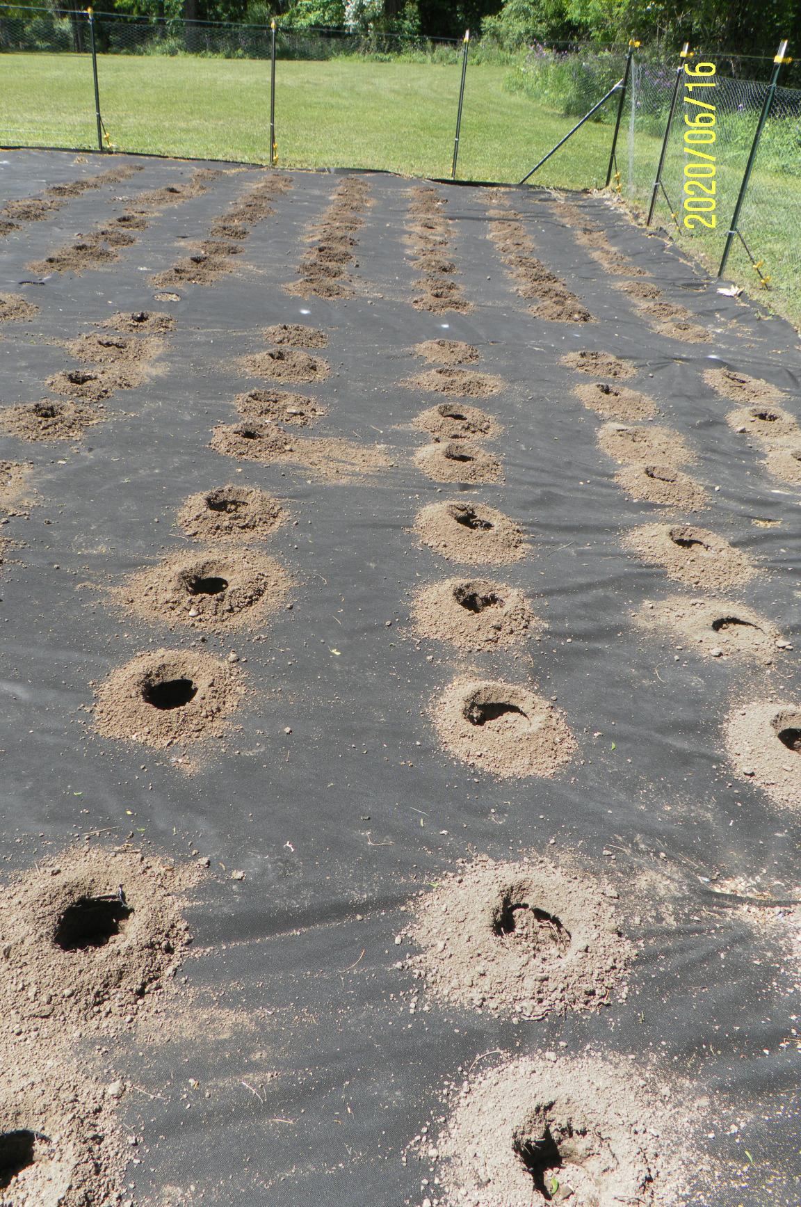 XtremepowerUS 1500W Electric Post Hole Digger Earth Auger with Reverse Function Dig Hole Fence Post Hole Digging, Tree Planting Include 6