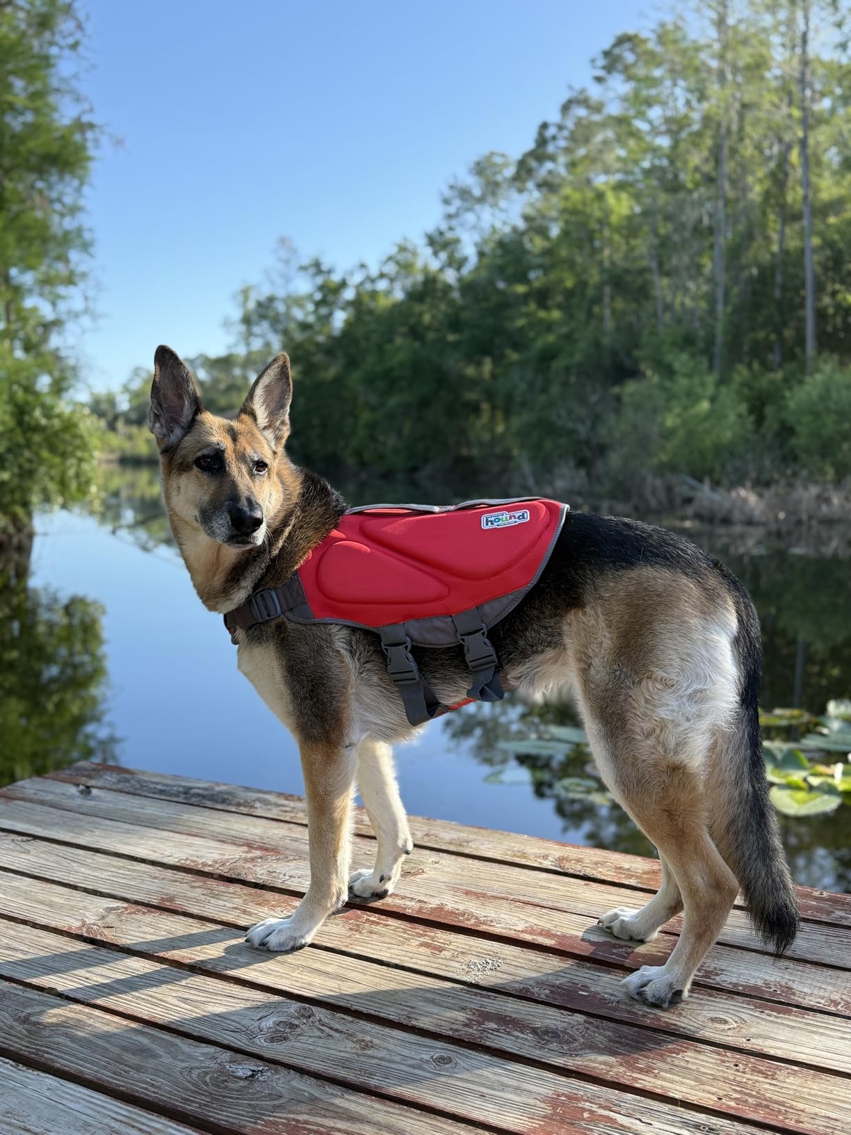 Outward Hound Granby Splash Orange Dog Life Jacket, Small customer photo 2