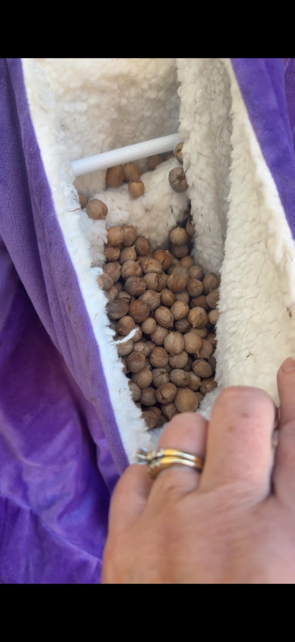 Bell+Howell 4 Pk Upgraded 2026 Ultrasonic Pest Repeller Indoor, Mice Repellent Indoor Home Kit, DIY Pest Control at Home, Plug in Spider Repellent, Rodent Repellent, Bug, Insect, Family & Pet Safe customer photo 2