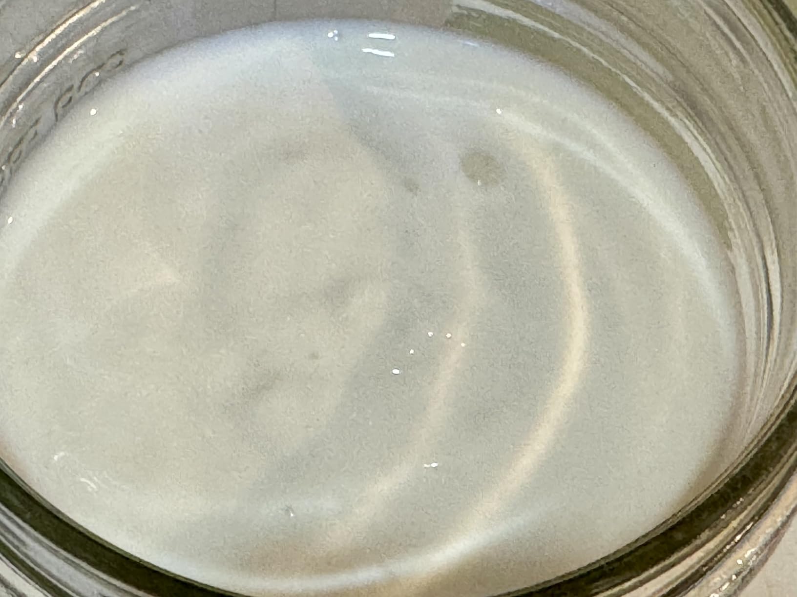 Euro Cuisine GY50 Greek Yogurt Maker with Ultra Fine Mesh Strainer Basket, BPA Free, Patented Greek Yogurt Strainer (White) customer photo 2