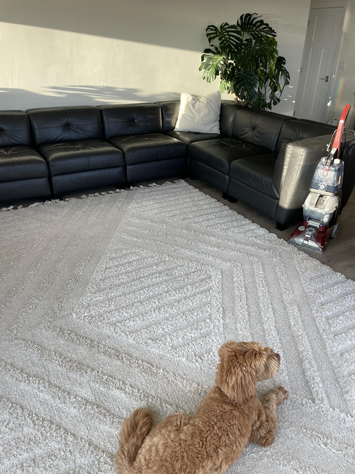 Hoover PowerScrub Deluxe Carpet Cleaner Machine for Carpet and Upholstery, Deep Cleaning Carpet Shampooer Machine with Multi-Purpose Tools, Pair with Hoover Carpet Cleaner Solution customer photo 1