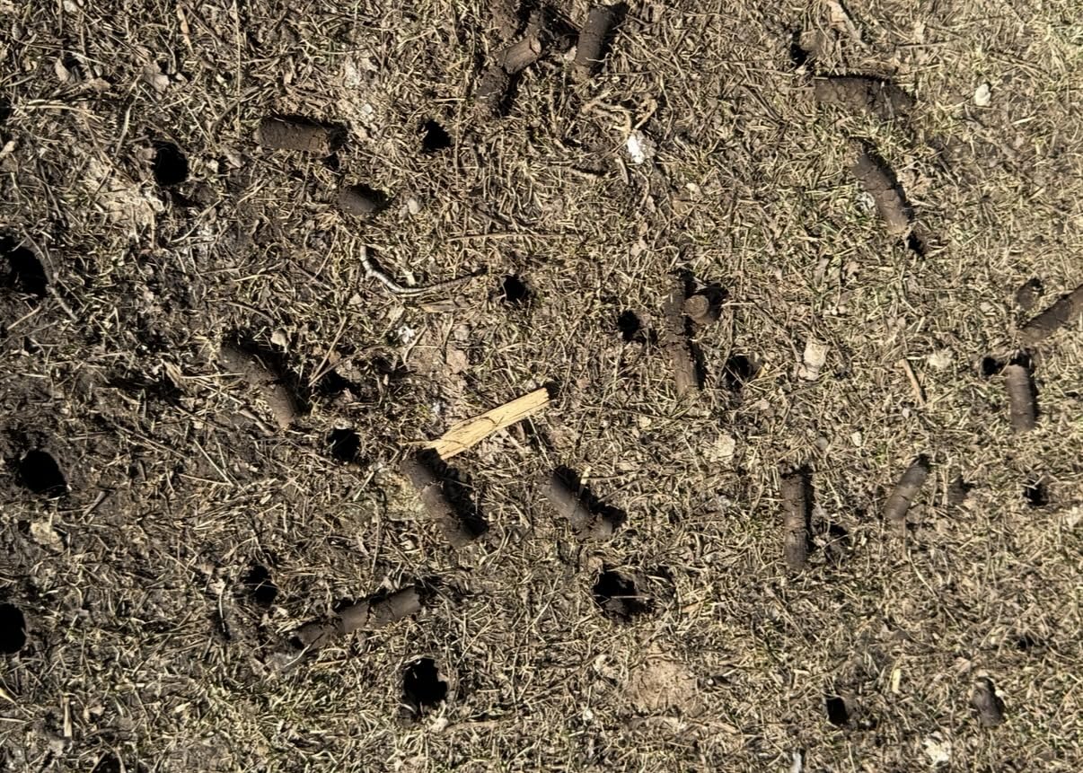 Yard Butler Manual Lawn Coring Aerator, ID-6C - Lawn Care Tool for Aerating - Long-Handled - Power-Coated Steel Construction - Comfortable Cushioned Handles Garden Tool - Easy to Use customer photo 1