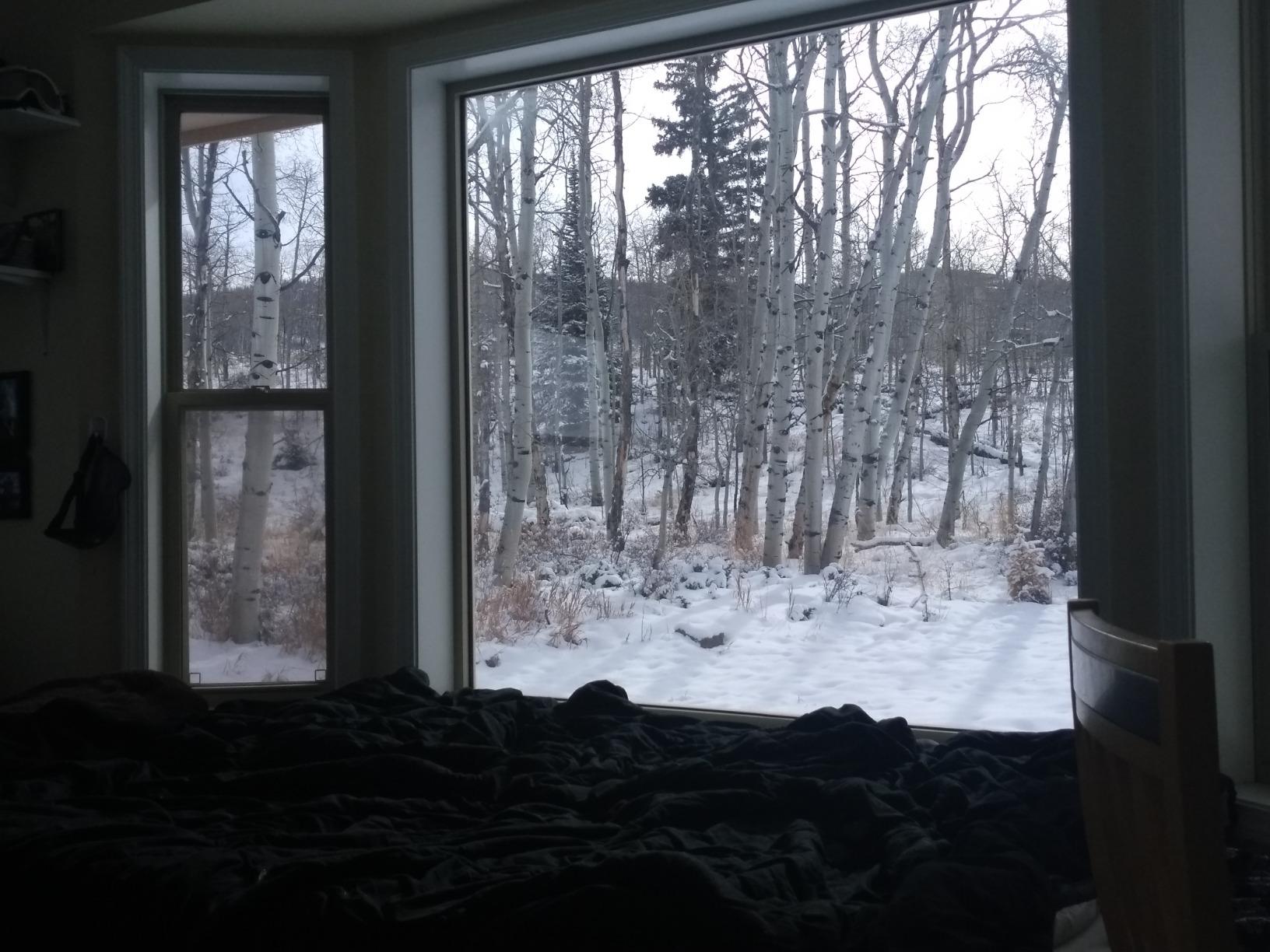 BDF S4MC Window Film Security and Safety 4 Mil Clear - 24in X 13ft customer photo 2