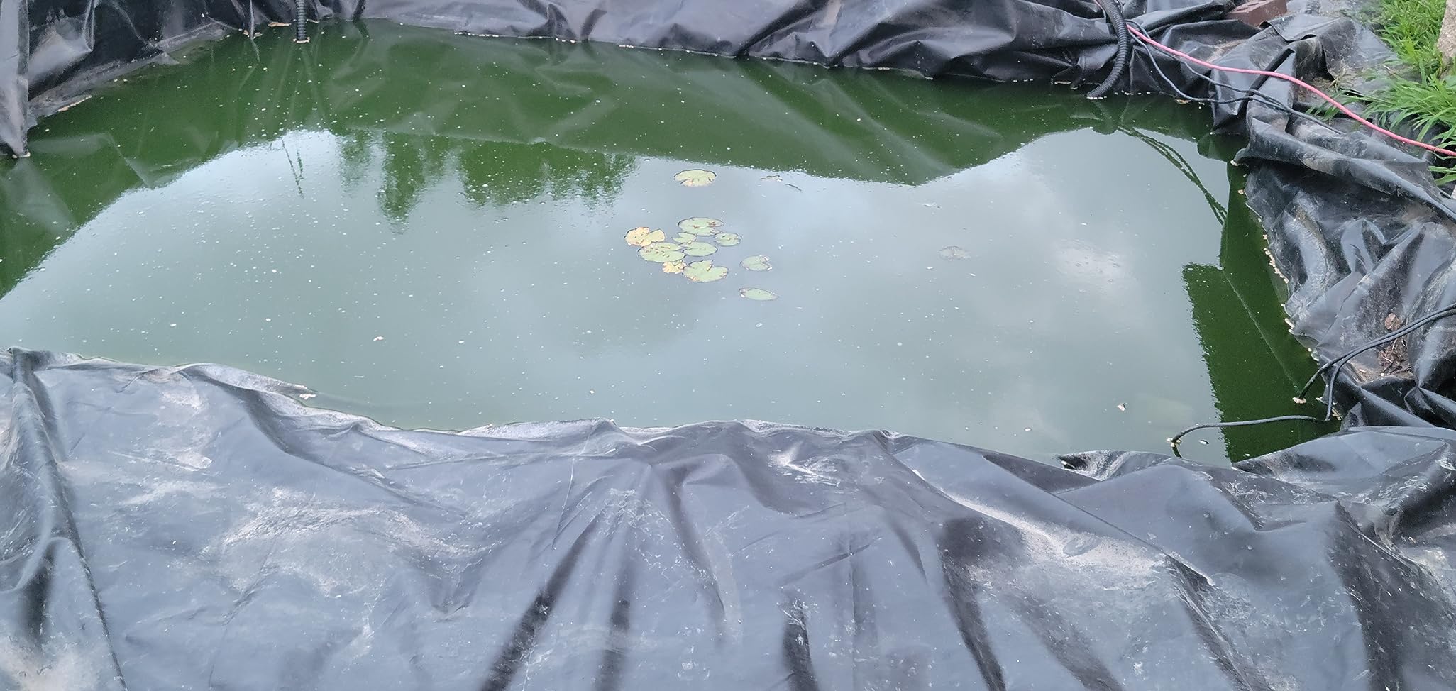 Aquascape 95053 UltraKlean 2000 Gallon Biological Pressure Filter with 14 Watt UV Clarifier Sterilizer for Pond Water Feature, 2,700 GPH customer photo 2