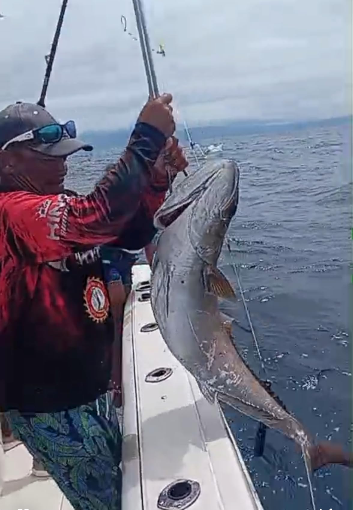 Daiwa TANACOM1000 Dendoh Fishing Reel, 30-40 lb, Black customer photo 1