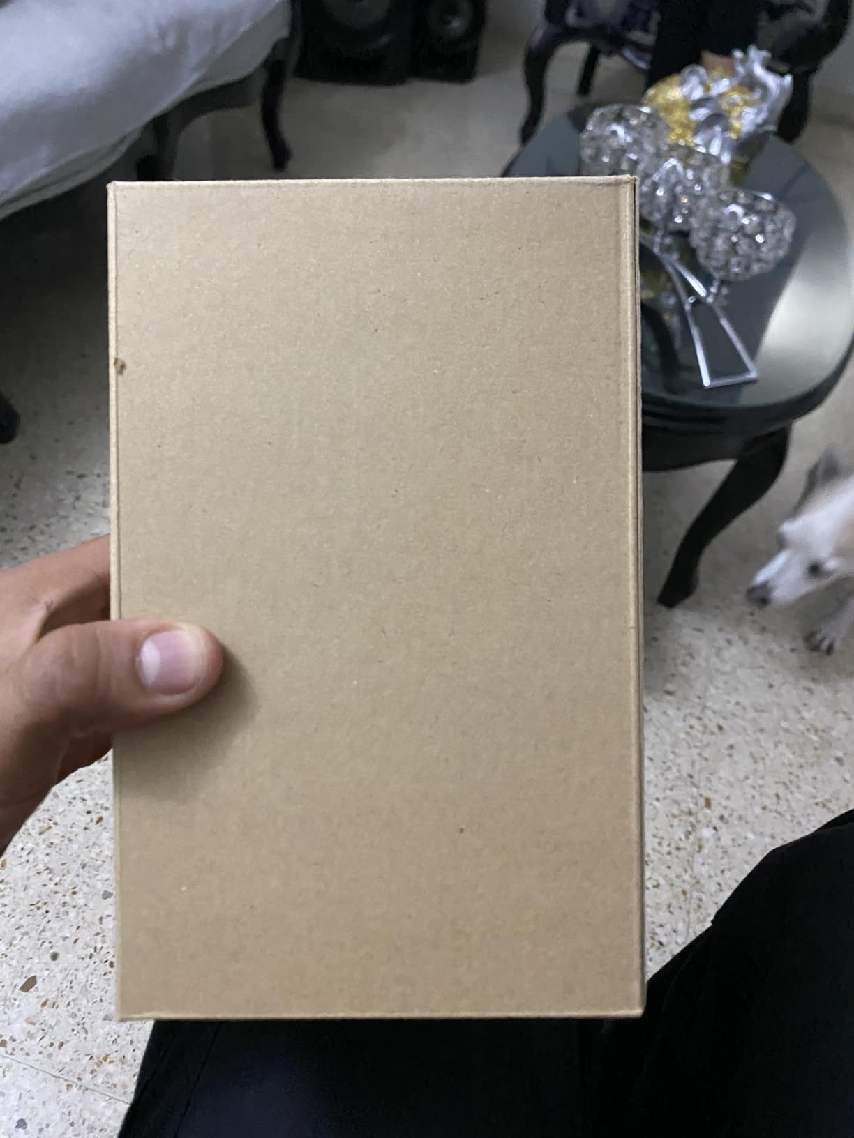 Sony E 55-210mm F4.5-6.3 OSS Lens customer photo 1