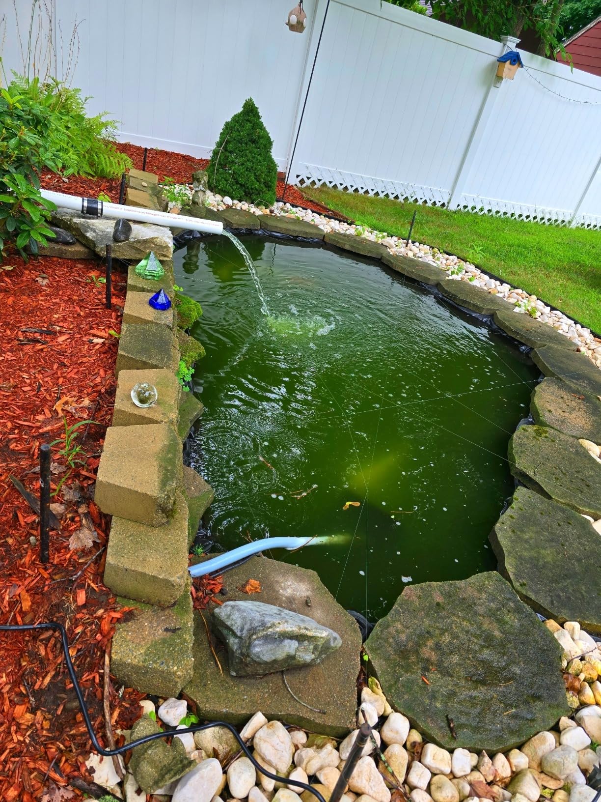OASE Vitronic 18 UV Clarifier for Pond customer photo 2