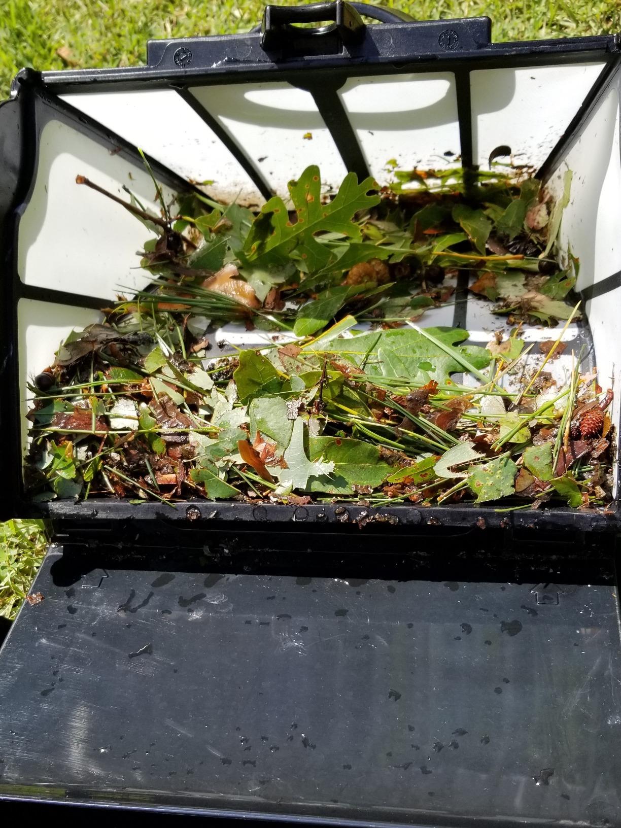 Polaris 9550 Sport Robotic Pool Cleaner, Automatic Vacuum for InGround Pools up to 60ft, 70ft Swivel Cable, Remote Control, Wall Climbing Vac w/Strong Suction & Easy Access Debris Canister customer photo 1