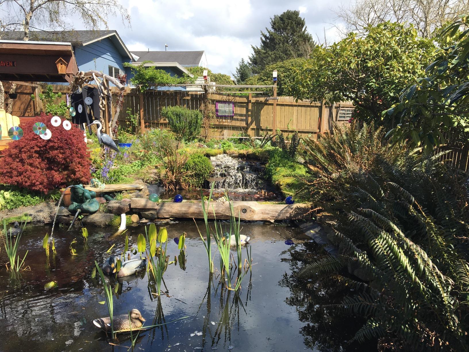 HALF OFF PONDS Pond Pulse 5,500 GPH Submersible Waterfall Pump - Hybrid Drive Pond Pump with 30' Cord - Energy Efficient, Fish Safe, 31' Max Head, for Skimmers & Large Water Features customer photo 1