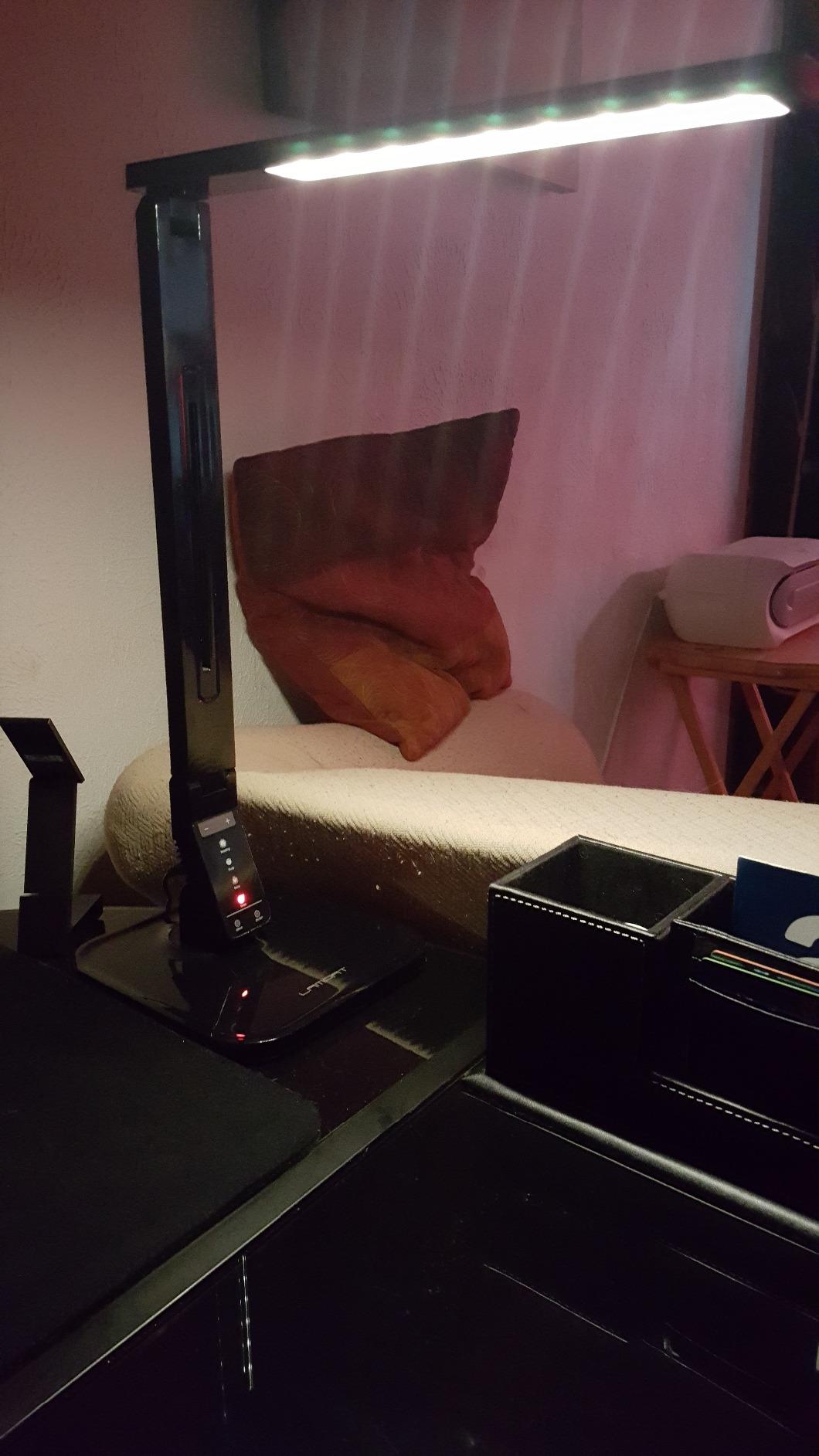 Lampat Dimmable LED Desk Lamp, 4 Lighting Modes (Reading/Studying/Relaxation/Bedtime), 5-Level Dimmer, Touch-Sensitive Control Panel, 1-Hour Auto Timer, 5V/1A USB Charging Port, Piano Black customer photo 1