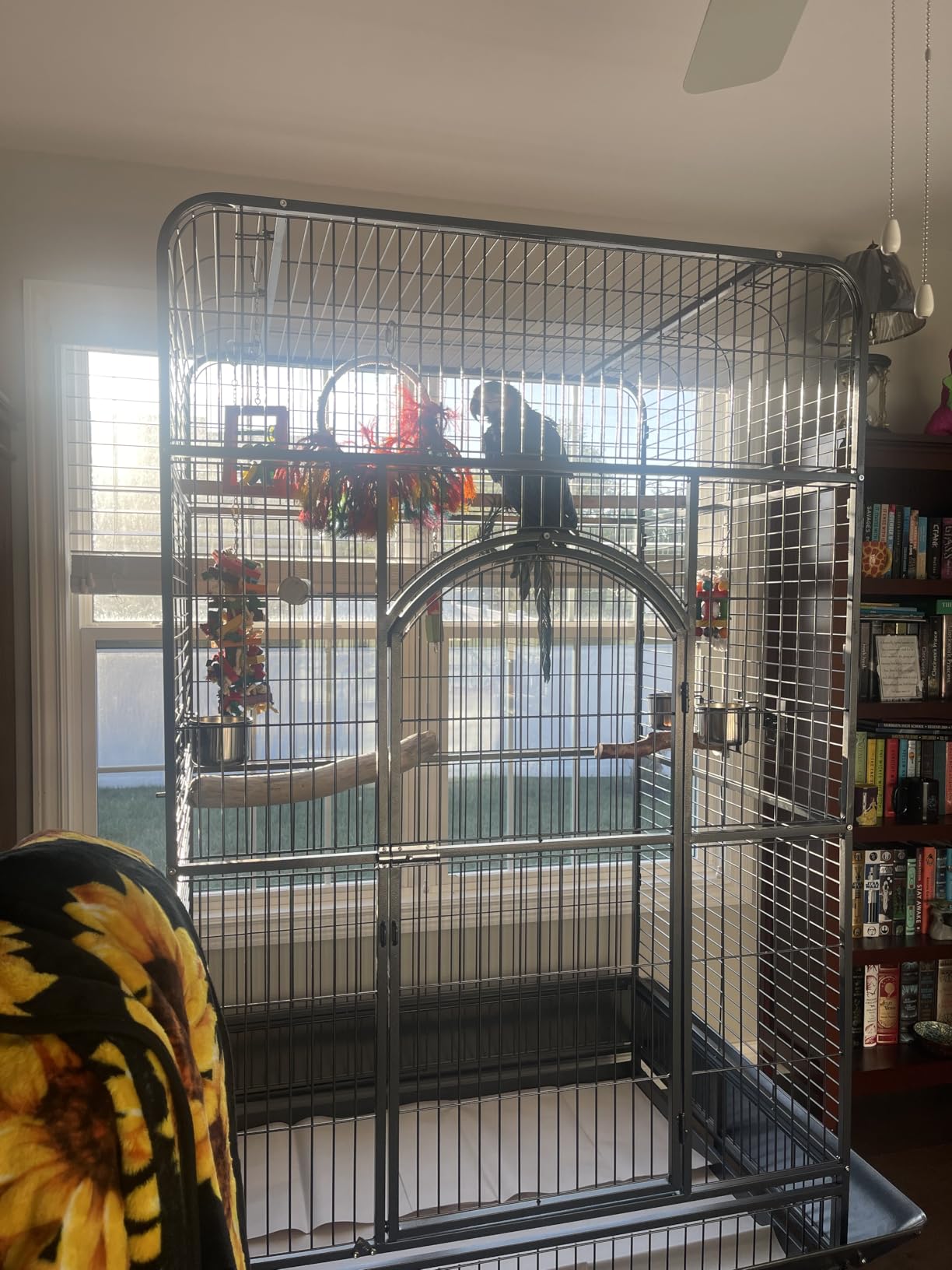 Prevue Pet Products Empire Bird Cage, X-Large, Black Hammertone, 46