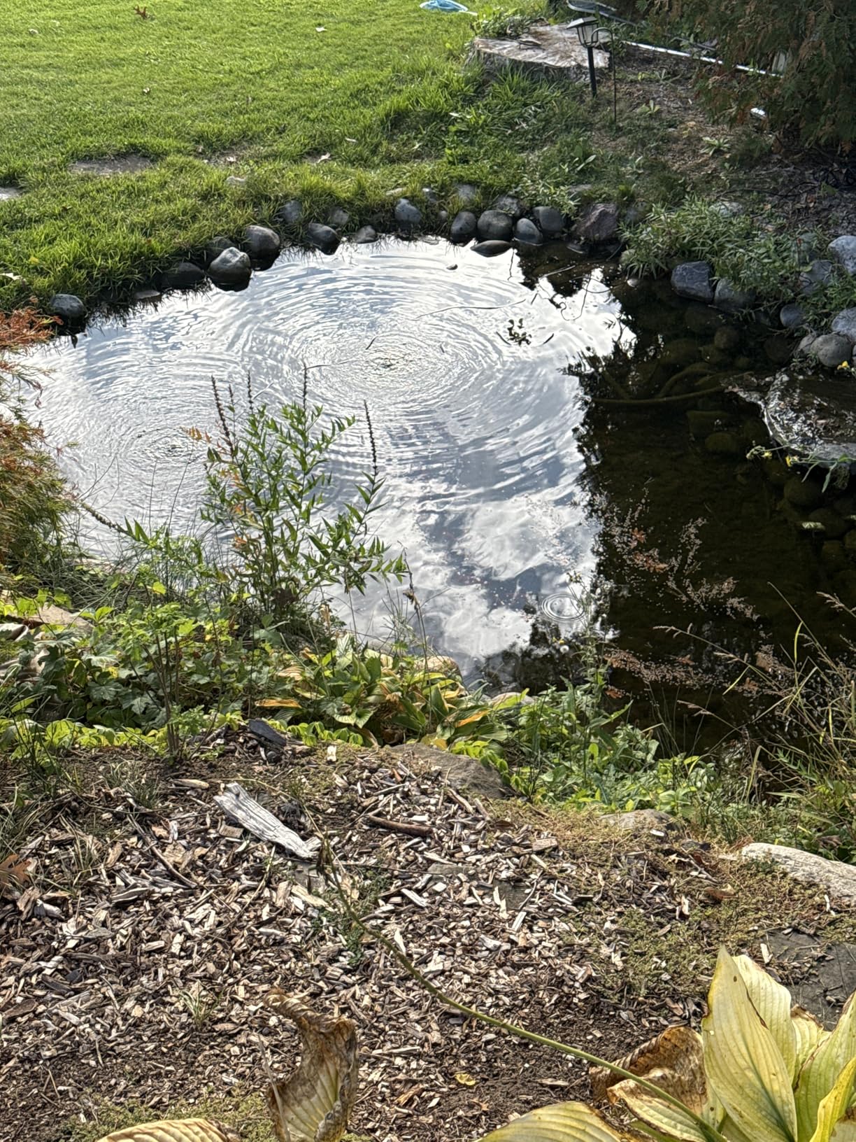 CrystalClear PondAir 2, Complete Aeration Kit, Whisper Quiet Water Garden Oxygenation Bubbler System customer photo 1