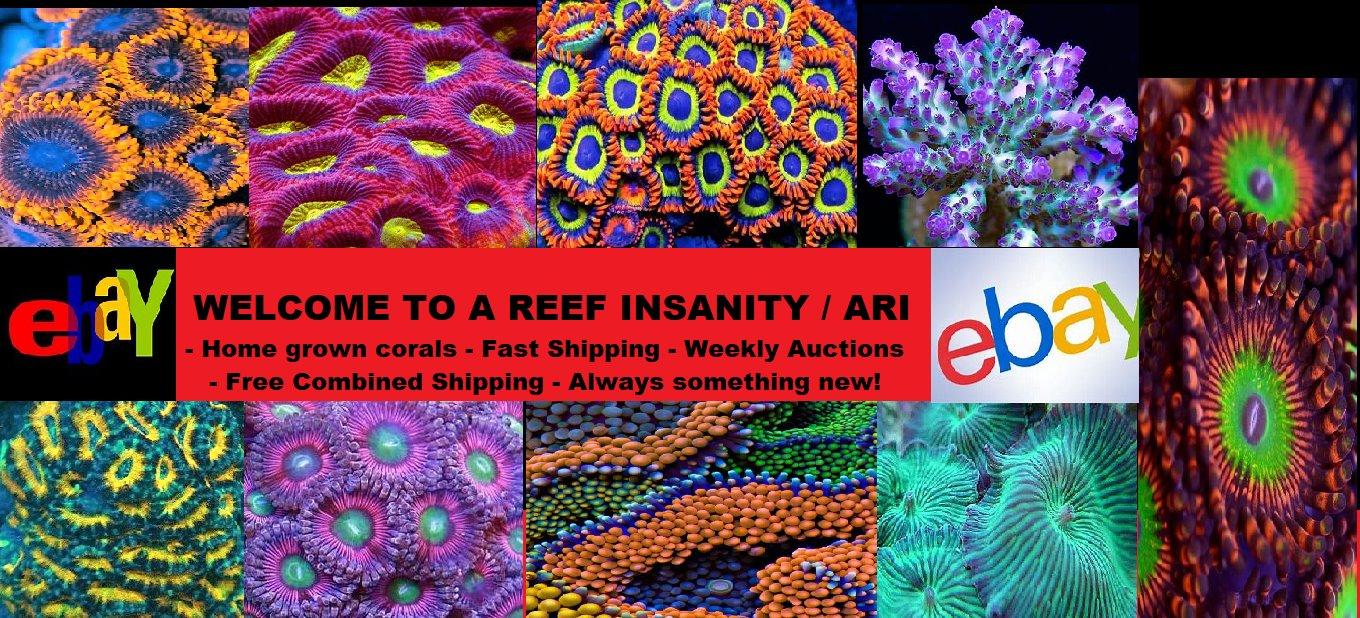 Salifert Master Reef Testing Combo Kit - Saltwater Aquariums customer photo 1