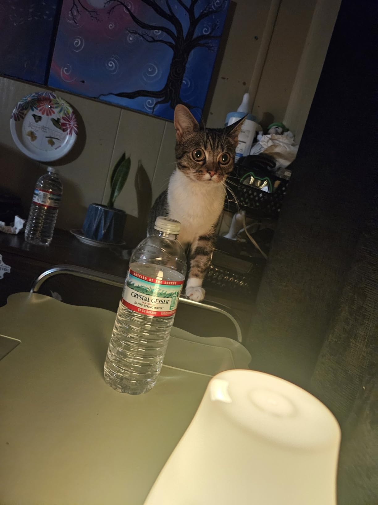 InnoGear Essential Oil Diffuser, Ultrasonic Diffusers for Home Aromatherapy Humidifier for Bedroom Room 7 Colors LED 2 Mist Mode Auto Off, Basic White customer photo 1