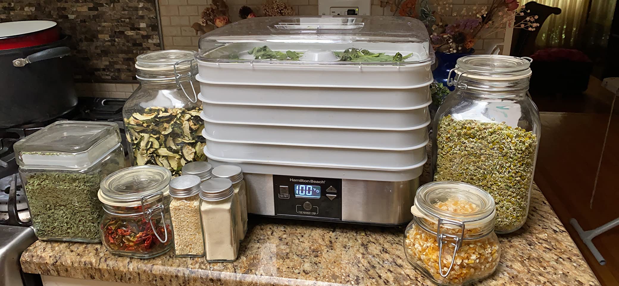 Hamilton Beach Digital Food Dehydrator for Fruit and Jerky, Vegetables and More, 5 Trays, Adjustable Temperature, 48 Hour Timer + Auto Shutoff, Grey (32100A) customer photo 2