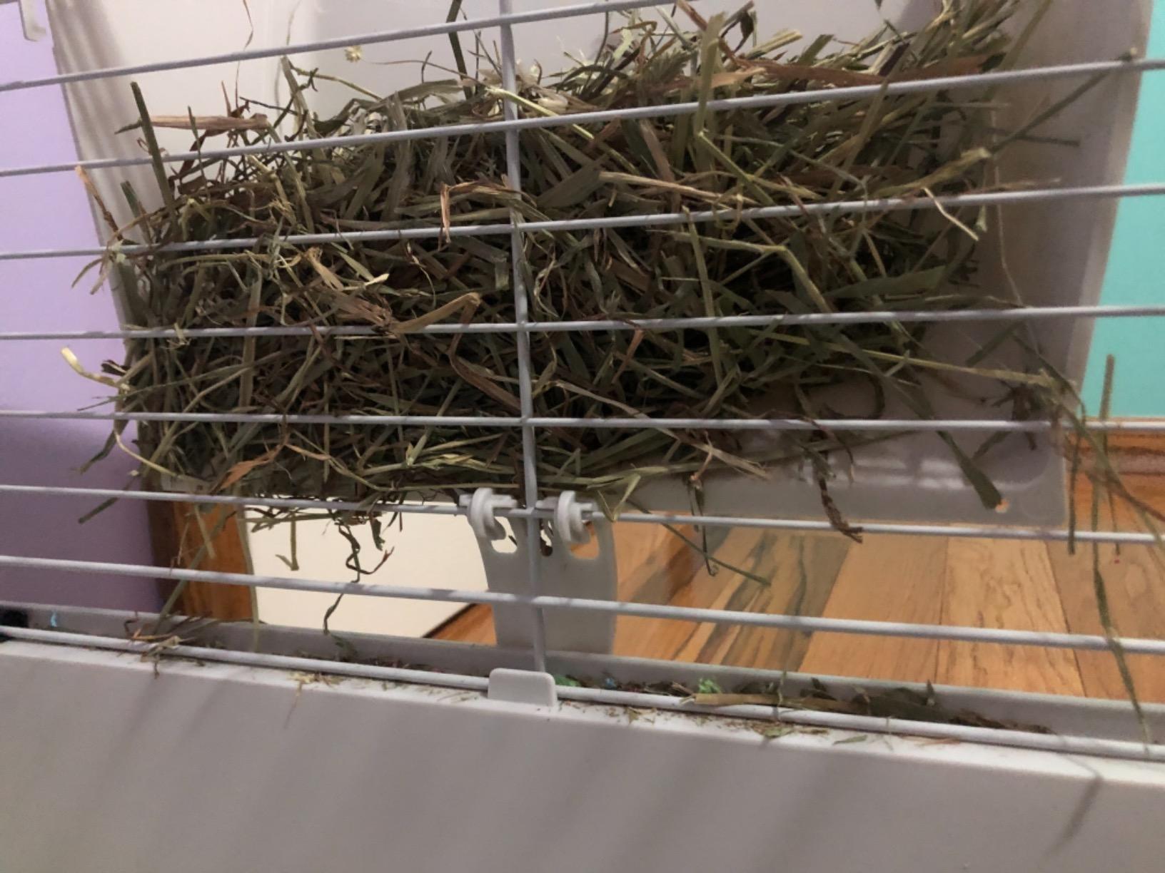 Ferplast Cavie Guinea Pig Cage & Rabbit Cage | Pet Cage Includes All Accessories to Get You Started & a 1-Year Warranty customer photo 1