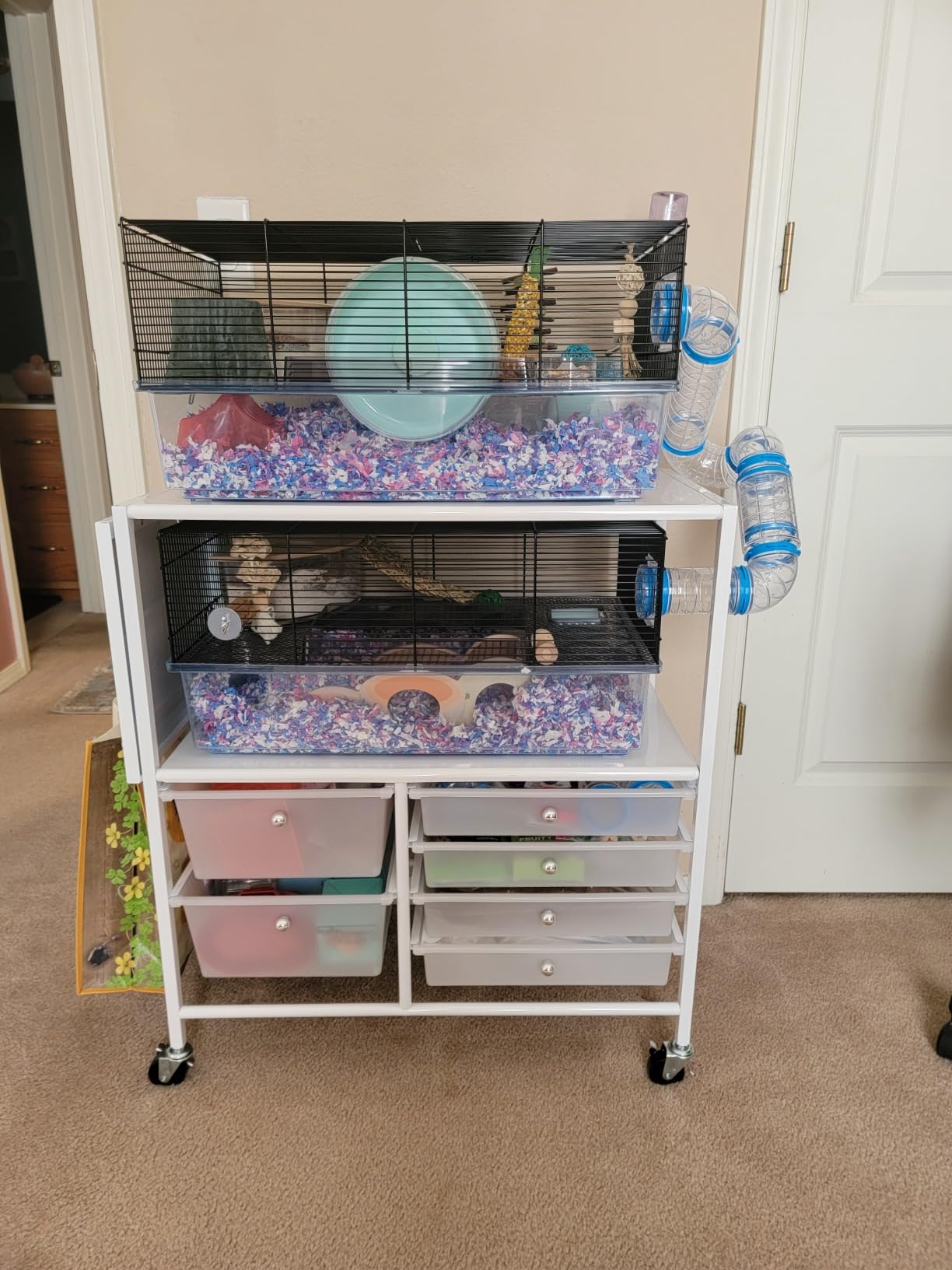Ferplast Favola Hamster Cage Includes Free Water Bottle, Exercise Wheel, Food Dish & Hamster Hide-Out Large Hamster Cage Measures 23.6L x 14.4W x 11.8H-Inches customer photo 1