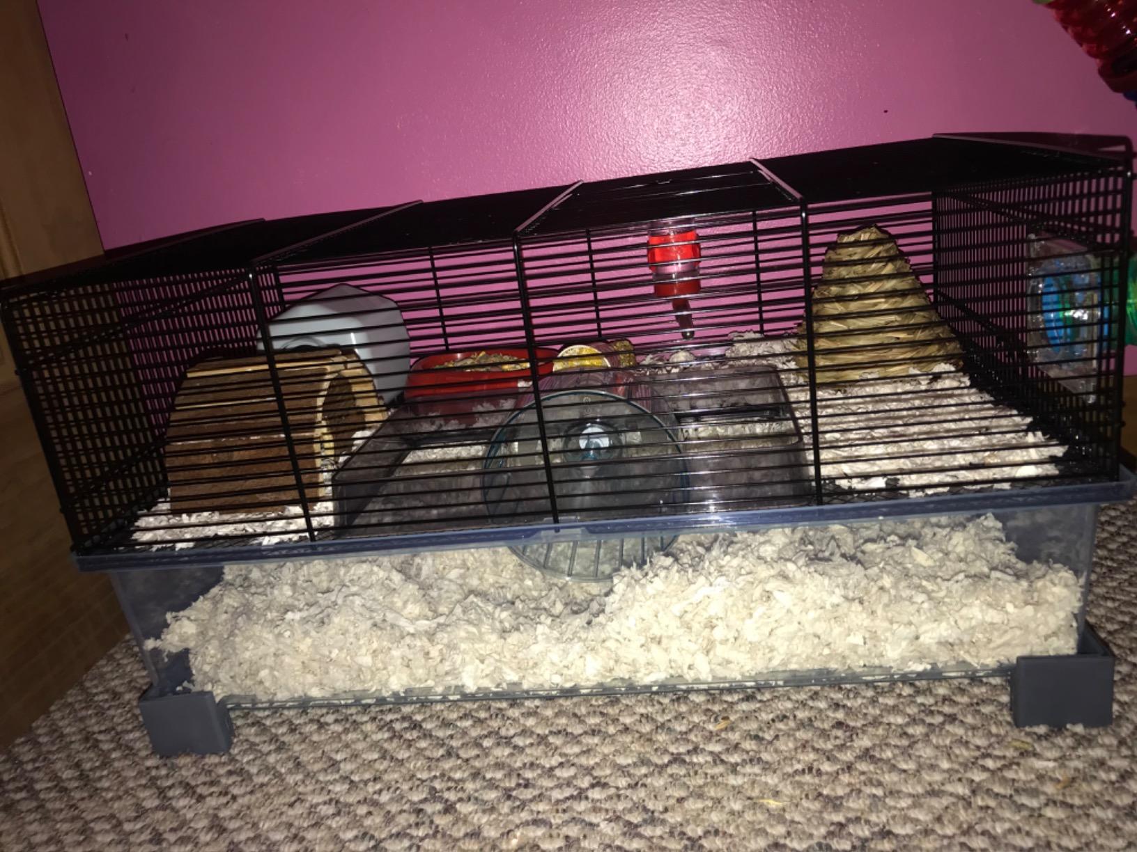 Ferplast Favola Hamster Cage Includes Free Water Bottle, Exercise Wheel, Food Dish & Hamster Hide-Out Large Hamster Cage Measures 23.6L x 14.4W x 11.8H-Inches customer photo 2