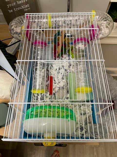Ferplast Laura Small Hamster Cage | Fun & Interactive Cage Measures 18.11L x 11.61W x 14.8H & Includes All Accessories customer photo 2