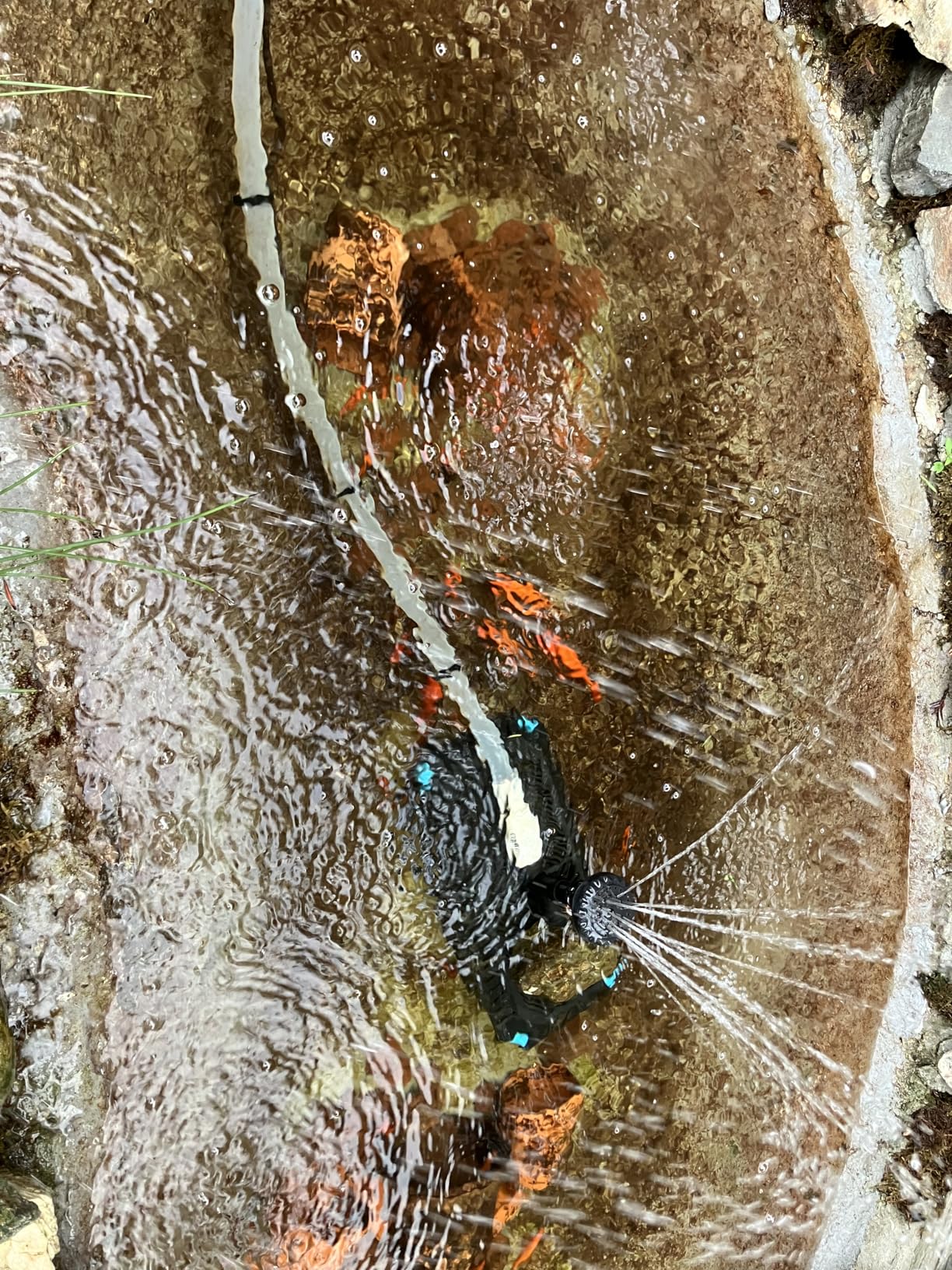 Flexzion Pond UV Lights for Outdoor Ponds - 55W XL Light, 13209 Capacity, 5000L/H UV Pond Clarifier for Outdoor Ponds, Clears Water in Days (CUV-155) customer photo 2