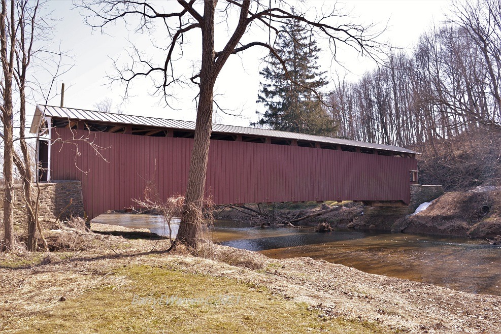 Nikon D610 24.3 MP CMOS FX-Format Digital SLR Camera (Body Only) (Renewed) customer photo 1