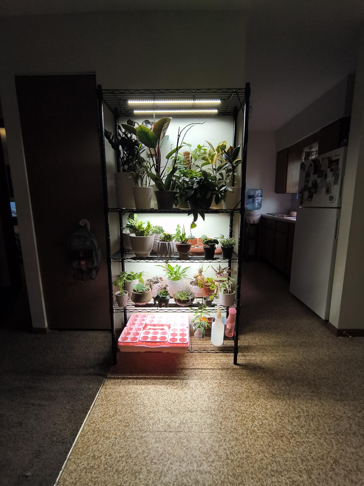 Amazon Basics 5-Shelf Adjustable Heavy Duty Steel Wire Storage Shelves for Garage, Kitchen, Easy Assembly, 36